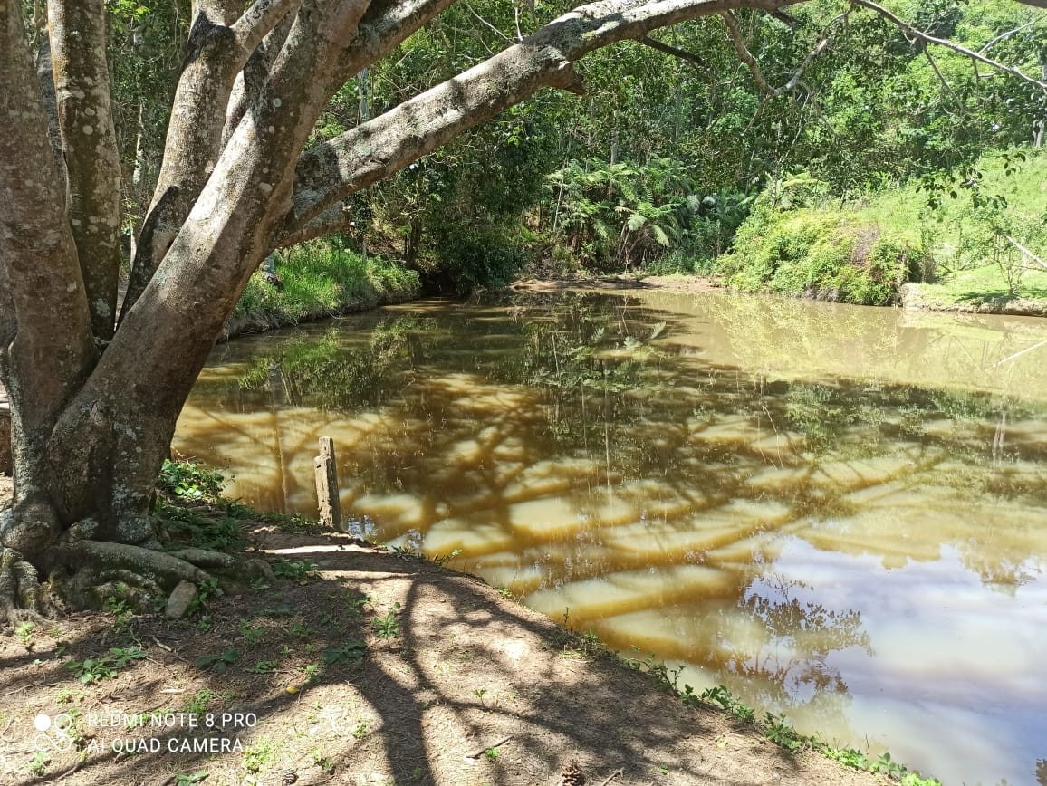 Sítio, 2 quartos, 31 hectares - Foto 14