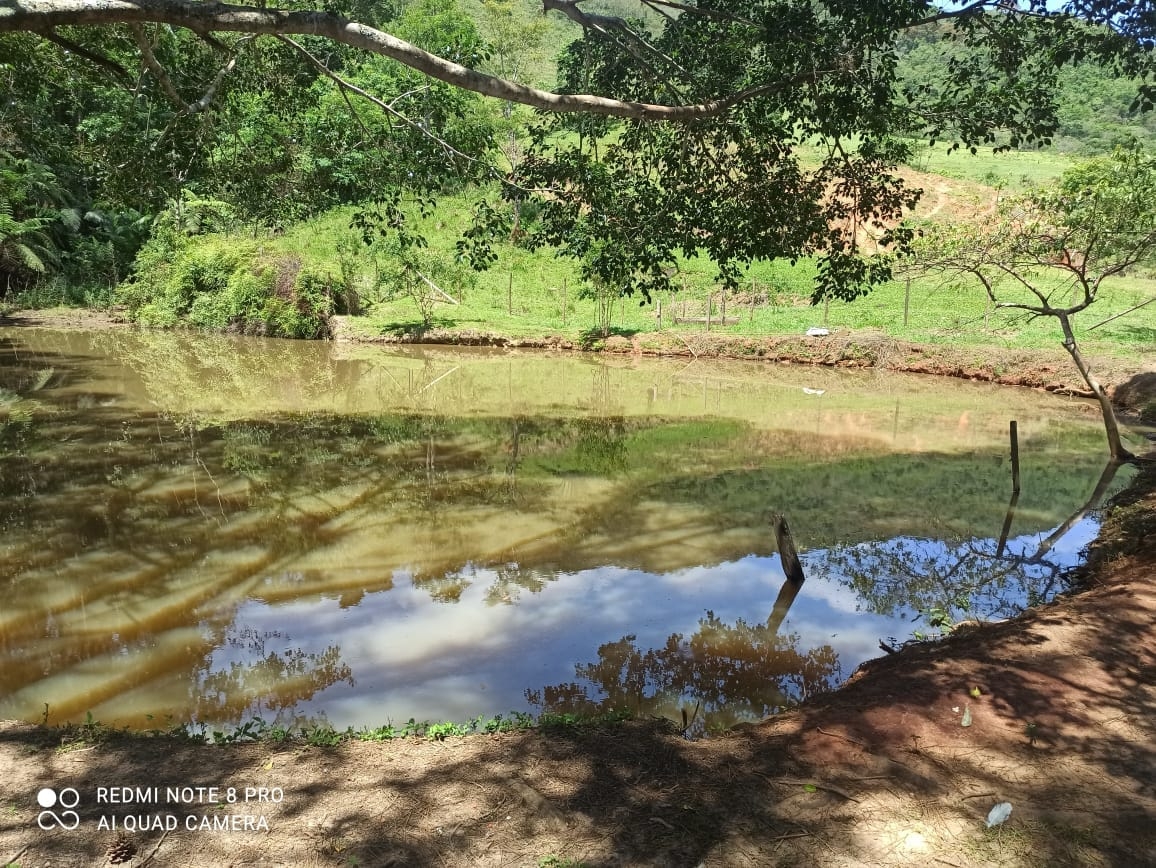 Sítio, 2 quartos, 31 hectares - Foto 15