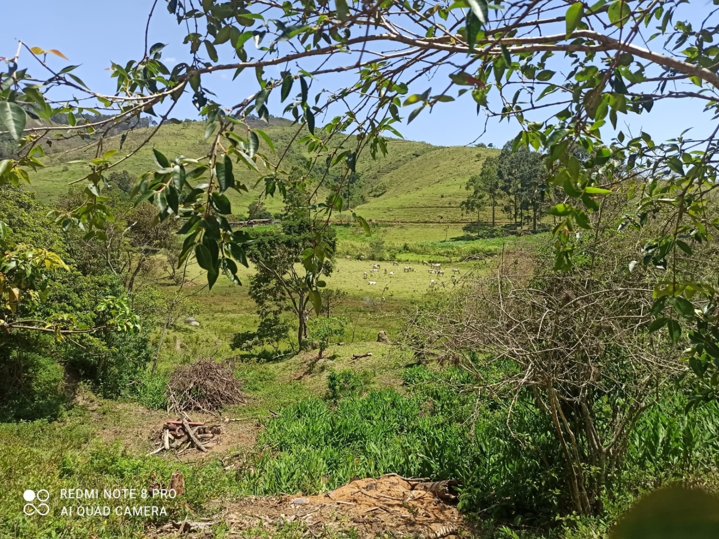 Sítio, 2 quartos, 31 hectares - Foto 16