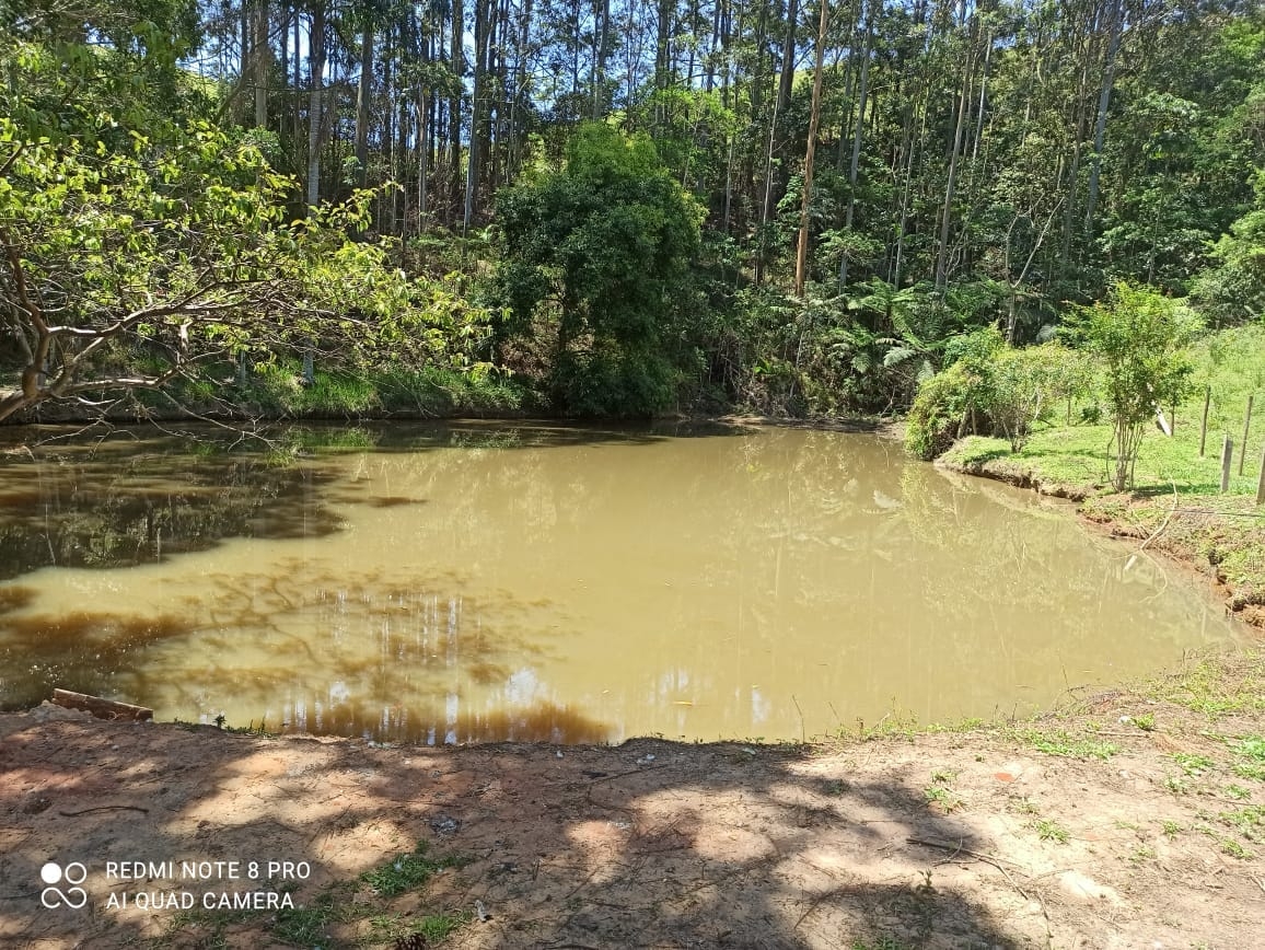 Sítio, 2 quartos, 31 hectares - Foto 22