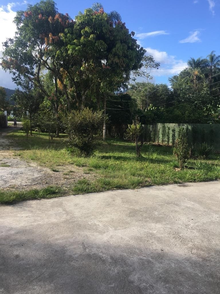 Sítio, 3 quartos, 2000 m² - Foto 3