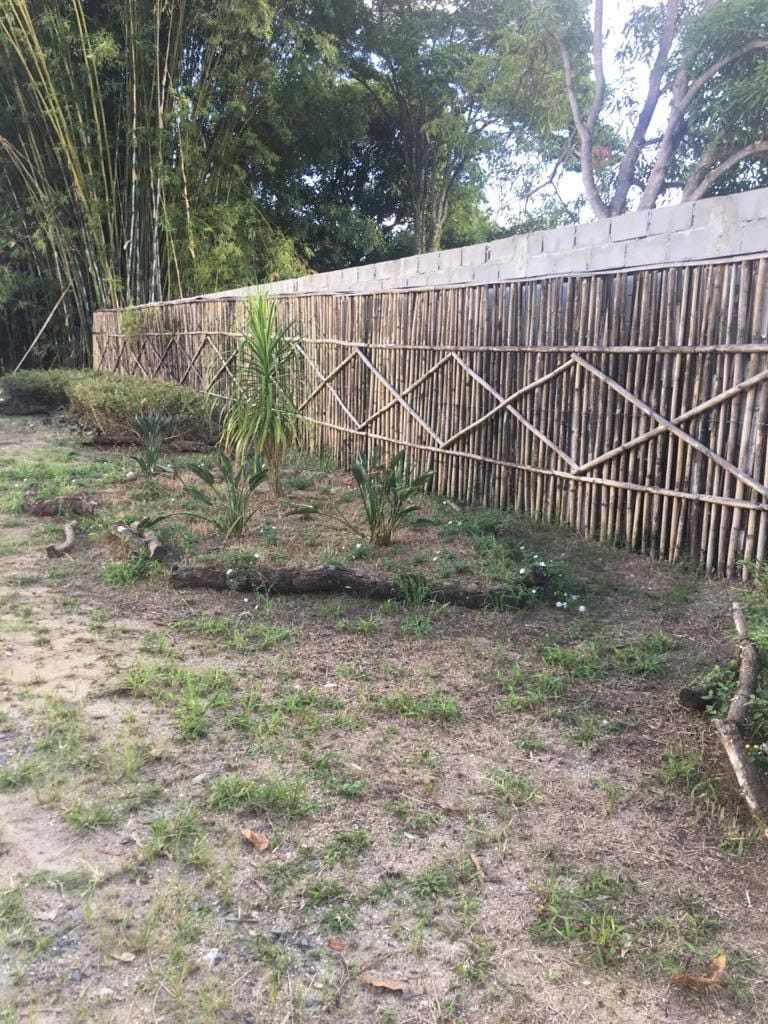 Sítio, 3 quartos, 2000 m² - Foto 7