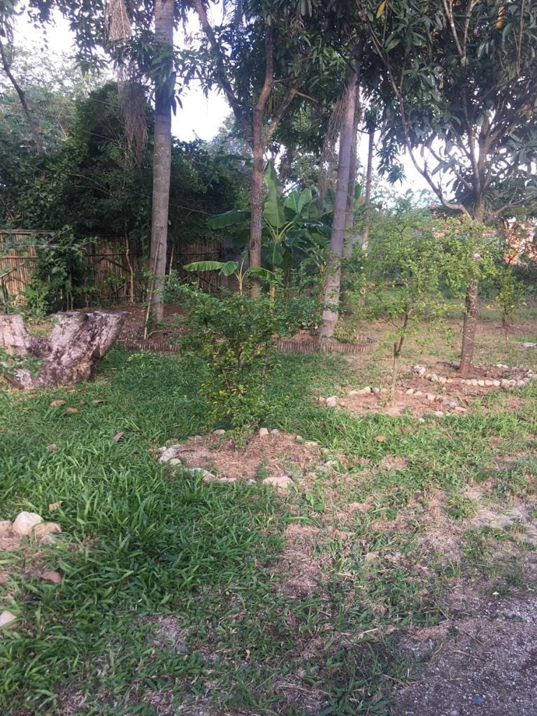 Sítio, 3 quartos, 2000 m² - Foto 8