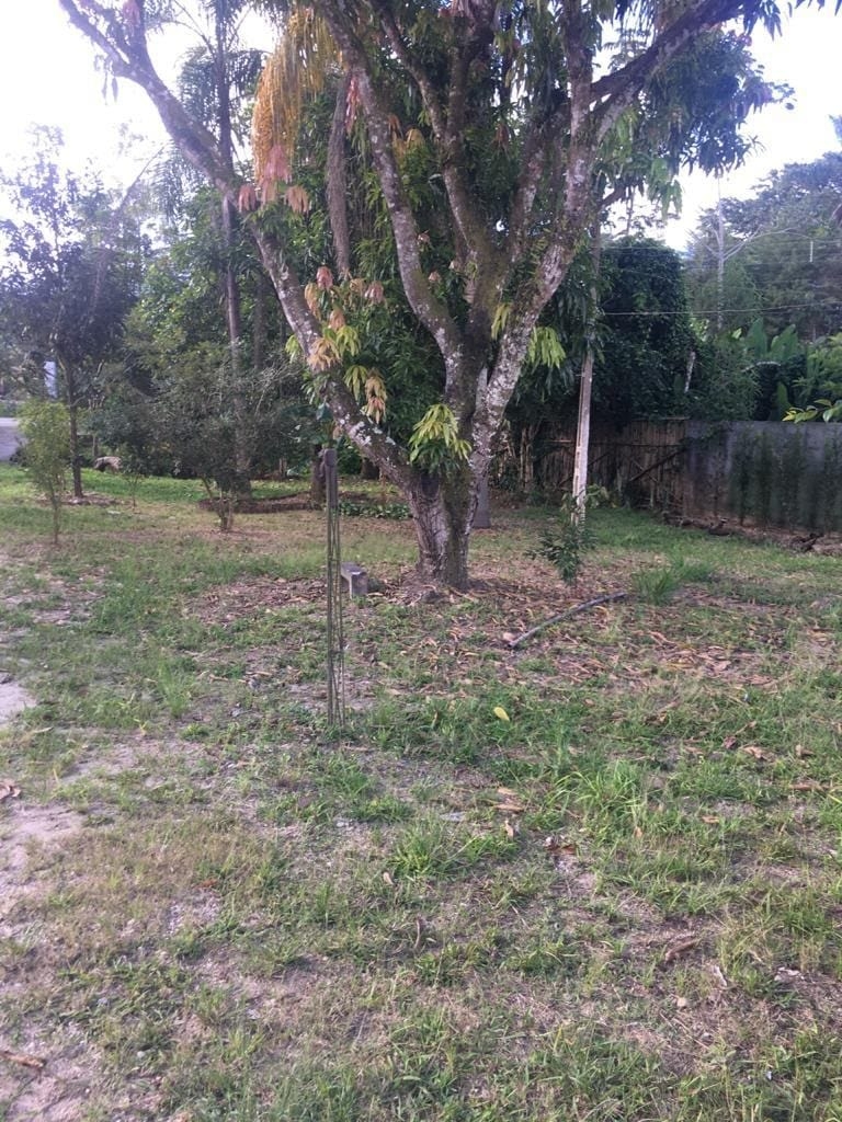 Sítio, 3 quartos, 2000 m² - Foto 9