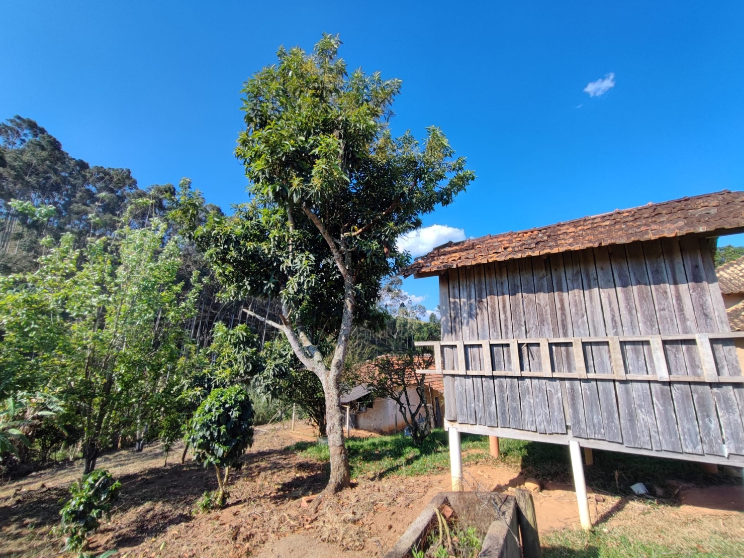 Sítio, 3 quartos, 18 hectares - Foto 1