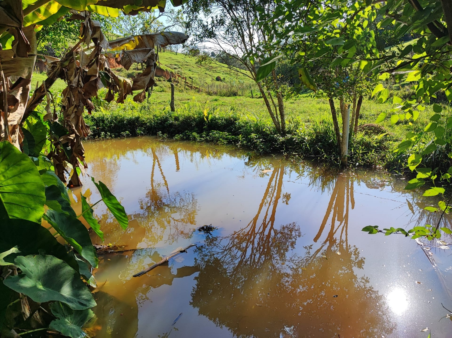 Sítio, 3 quartos, 18 hectares - Foto 2