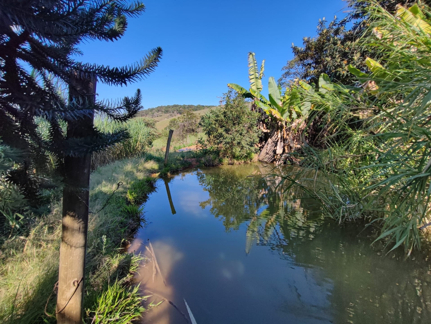 Sítio, 3 quartos, 18 hectares - Foto 4