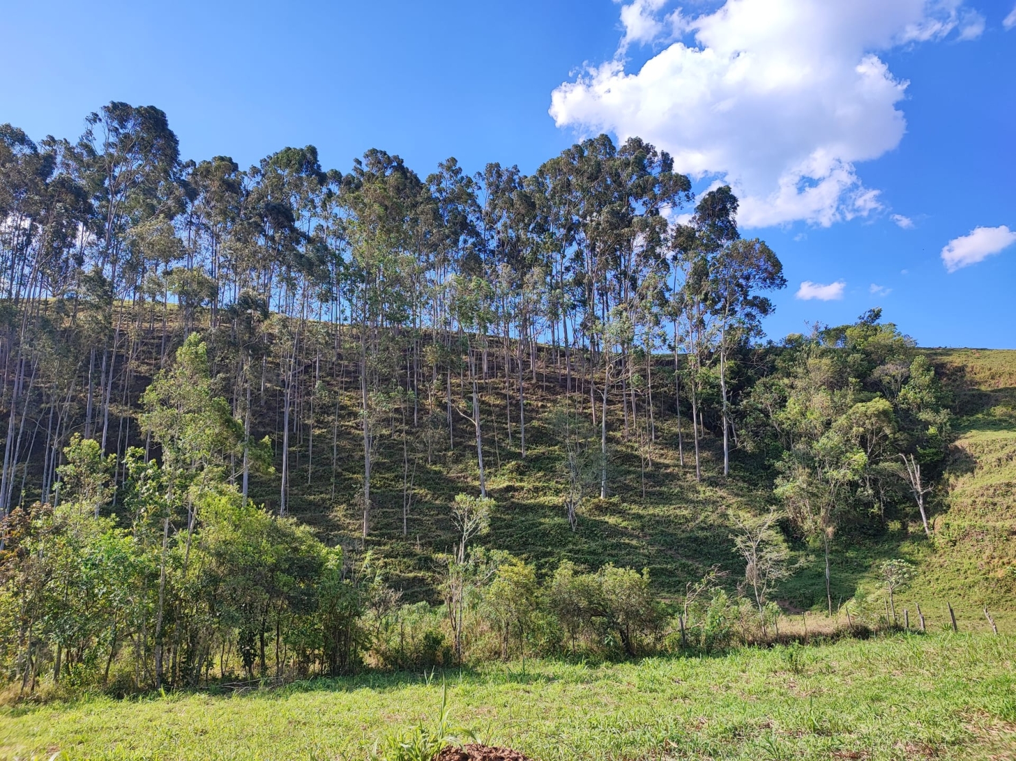 Sítio, 3 quartos, 18 hectares - Foto 30