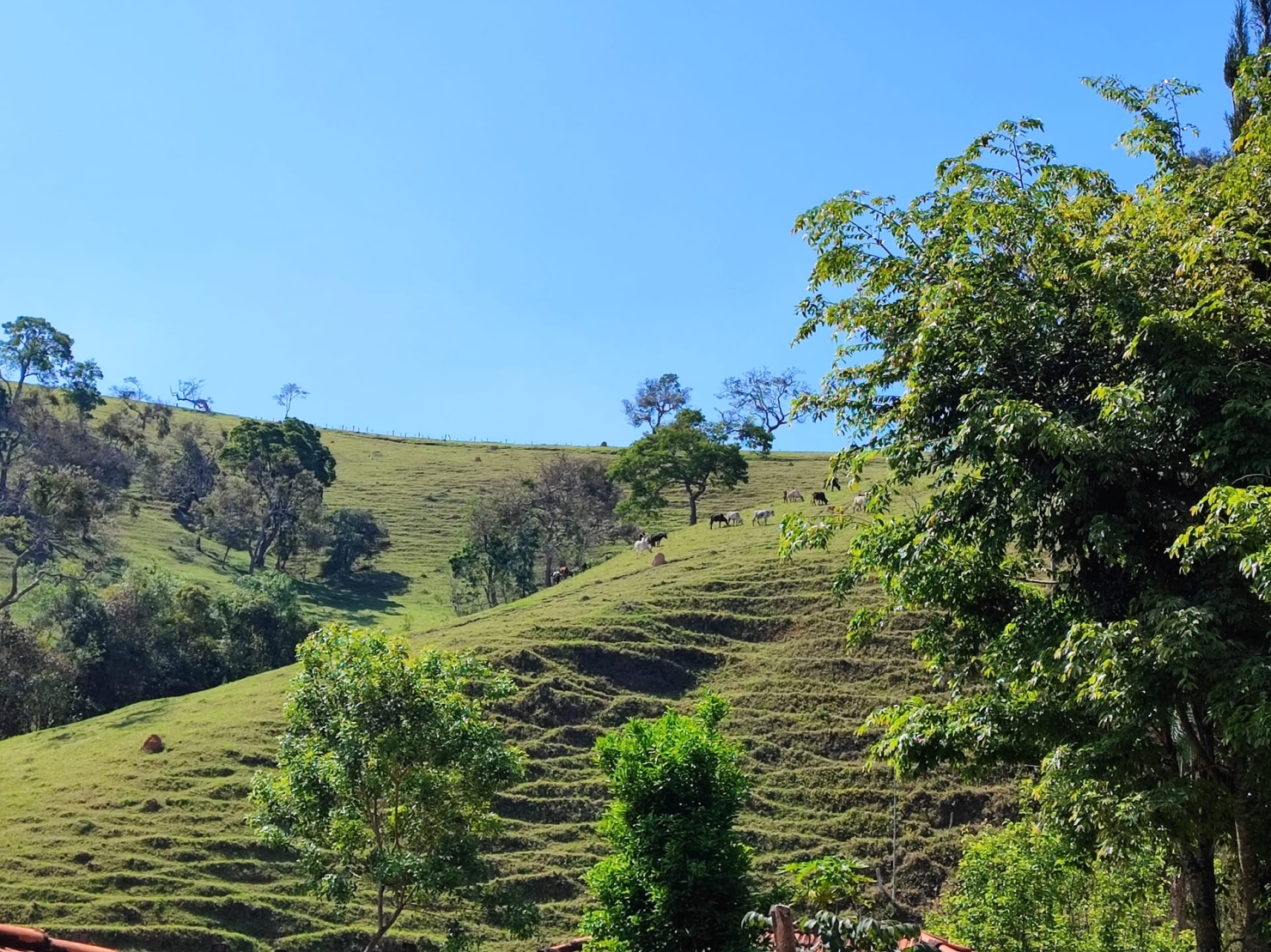 Sítio, 3 quartos, 18 hectares - Foto 31