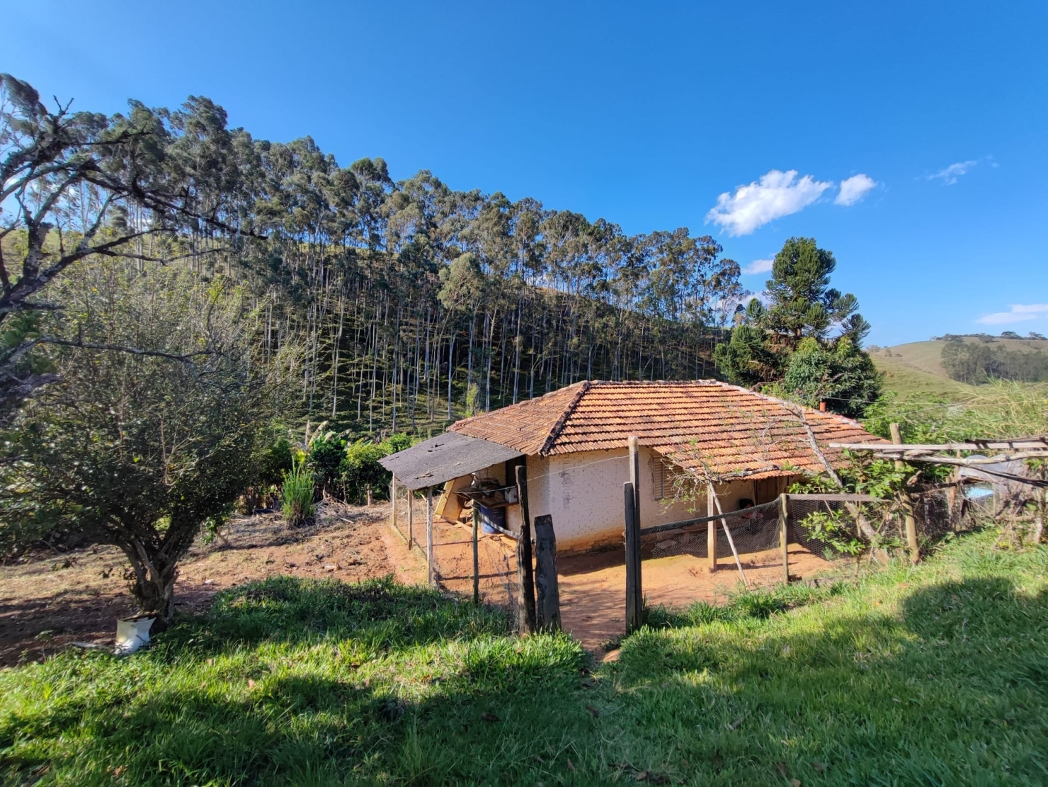 Sítio, 3 quartos, 18 hectares - Foto 34