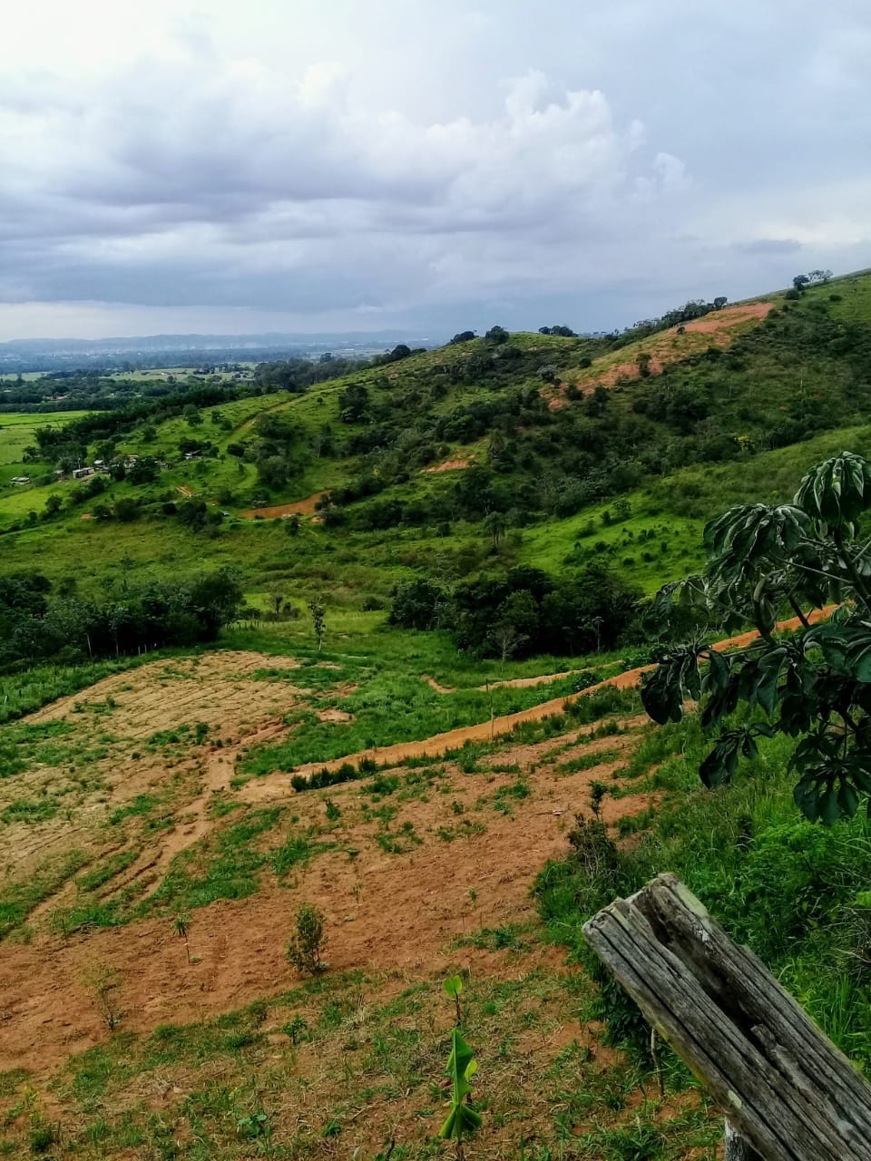 Terreno, 2 hectares - Foto 1