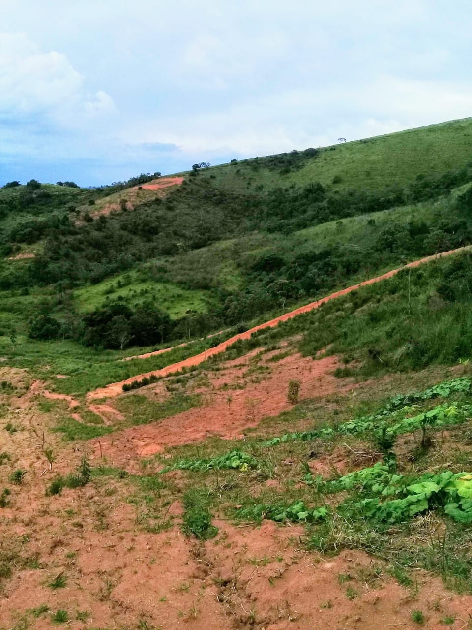 Terreno, 2 hectares - Foto 2