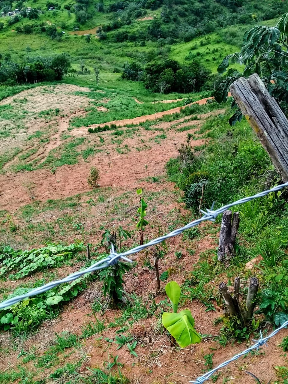 Terreno, 2 hectares - Foto 3