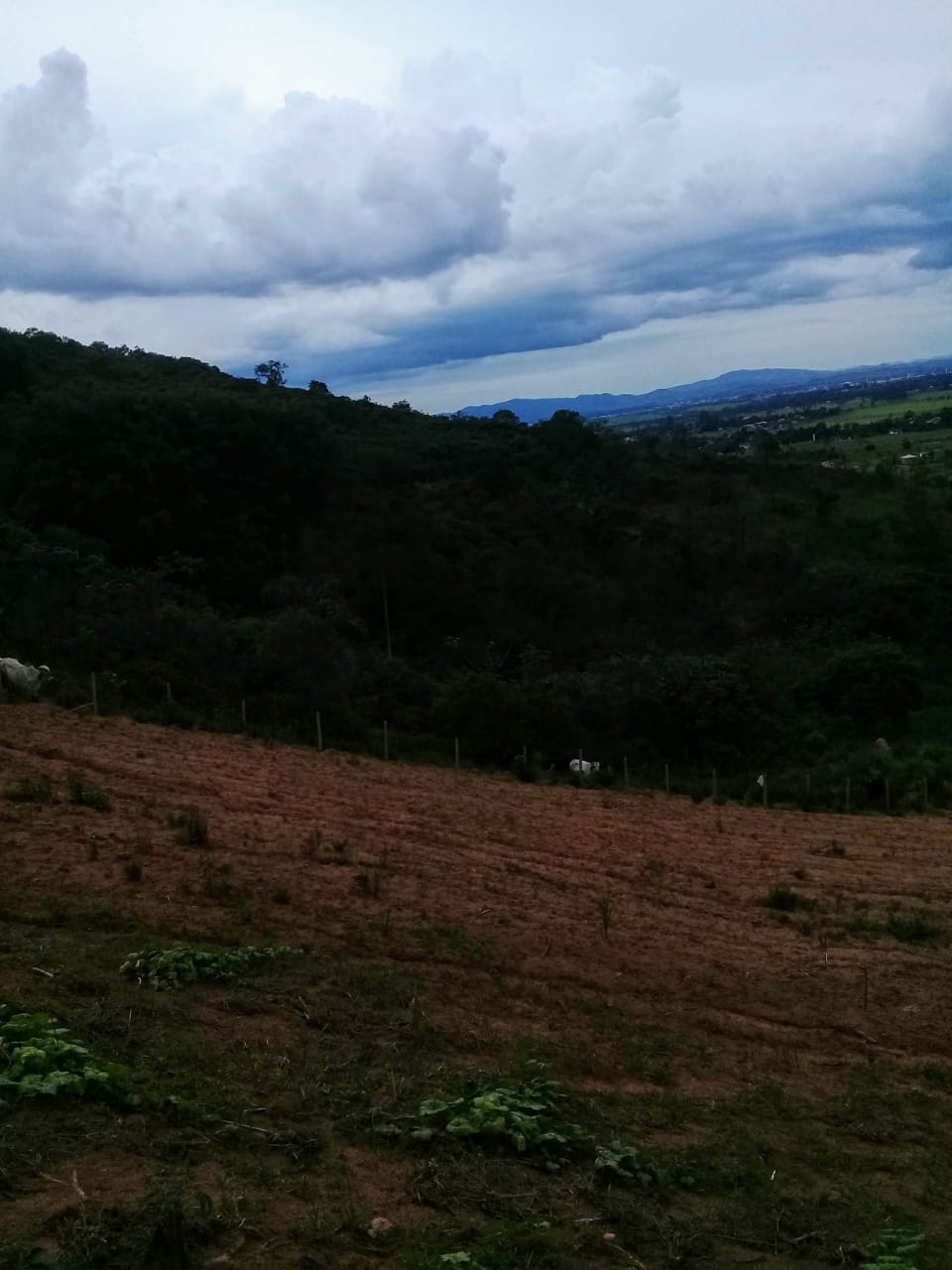 Terreno, 2 hectares - Foto 4