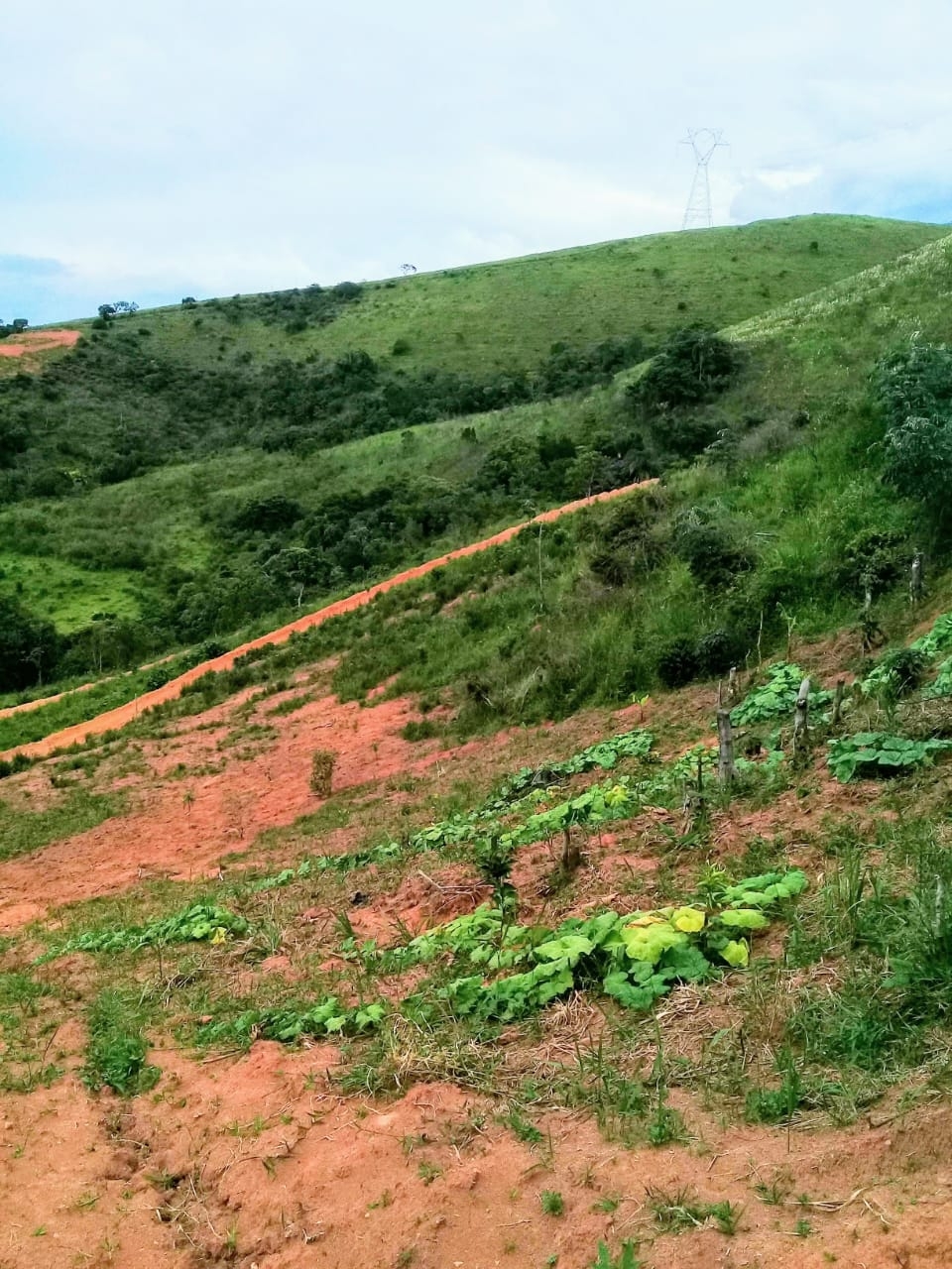 Terreno, 2 hectares - Foto 5