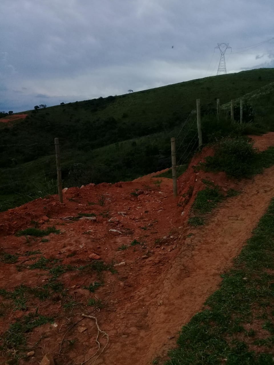 Terreno, 2 hectares - Foto 6