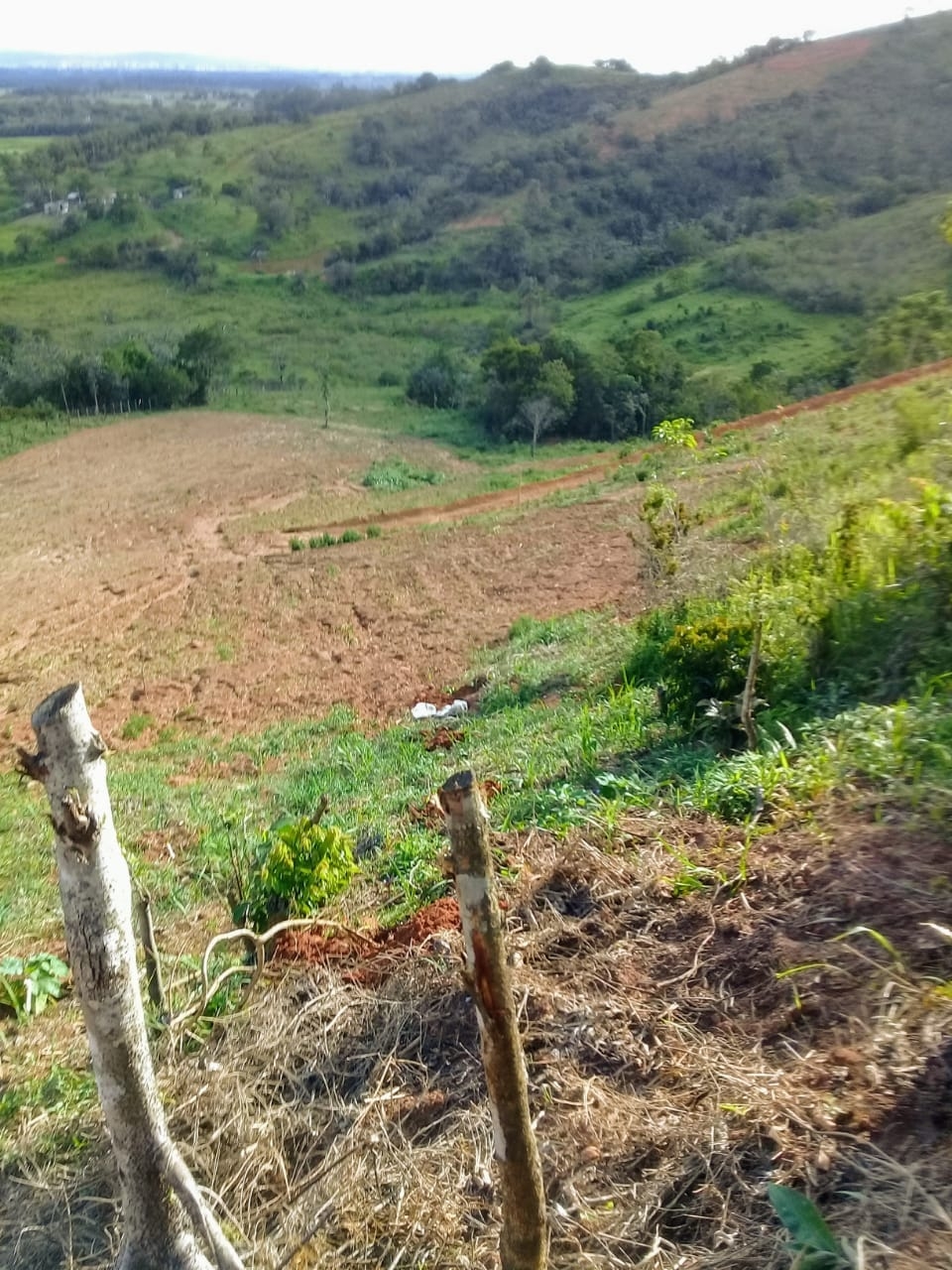 Terreno, 2 hectares - Foto 7