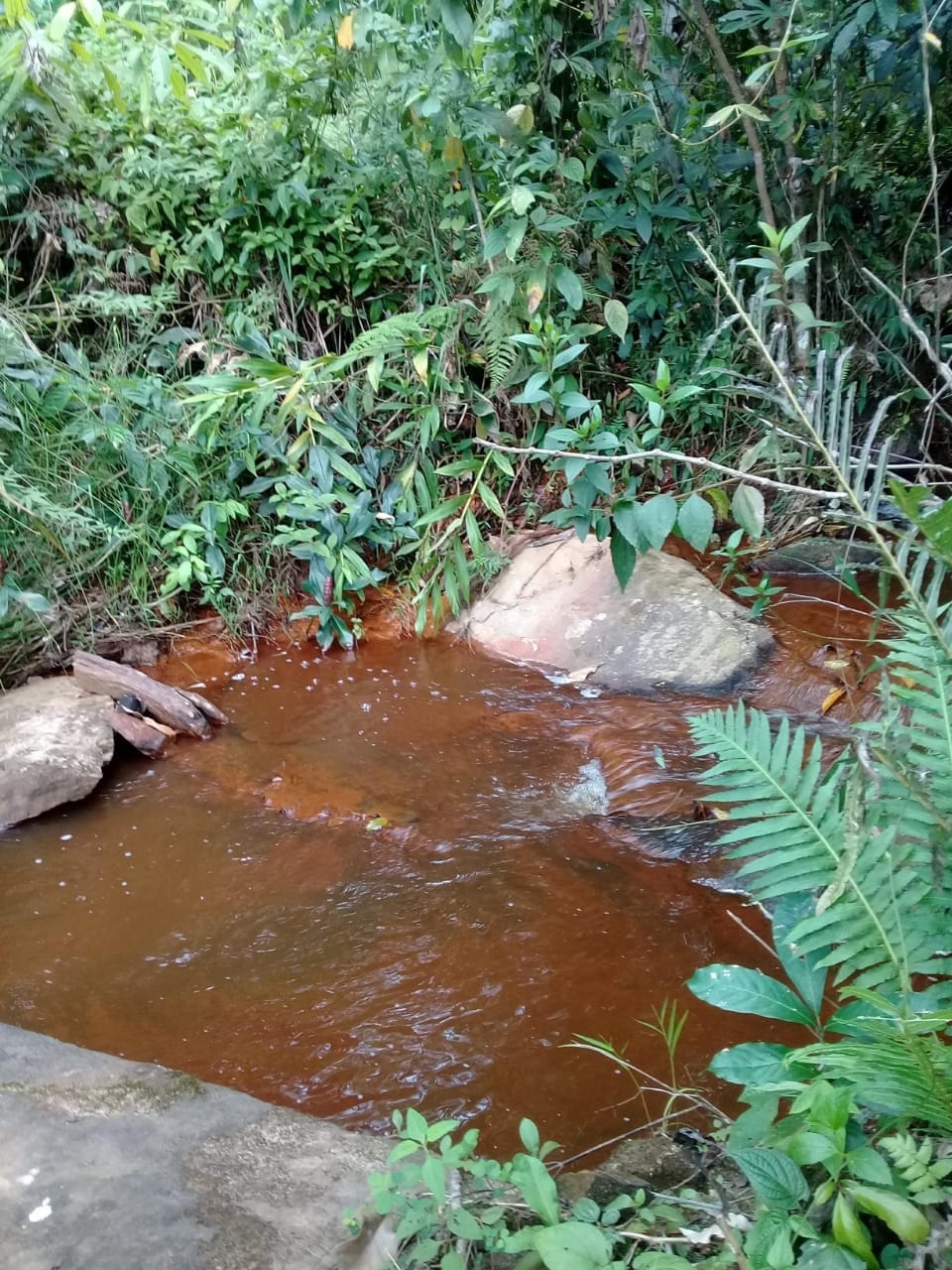 Terreno, 2 hectares - Foto 9