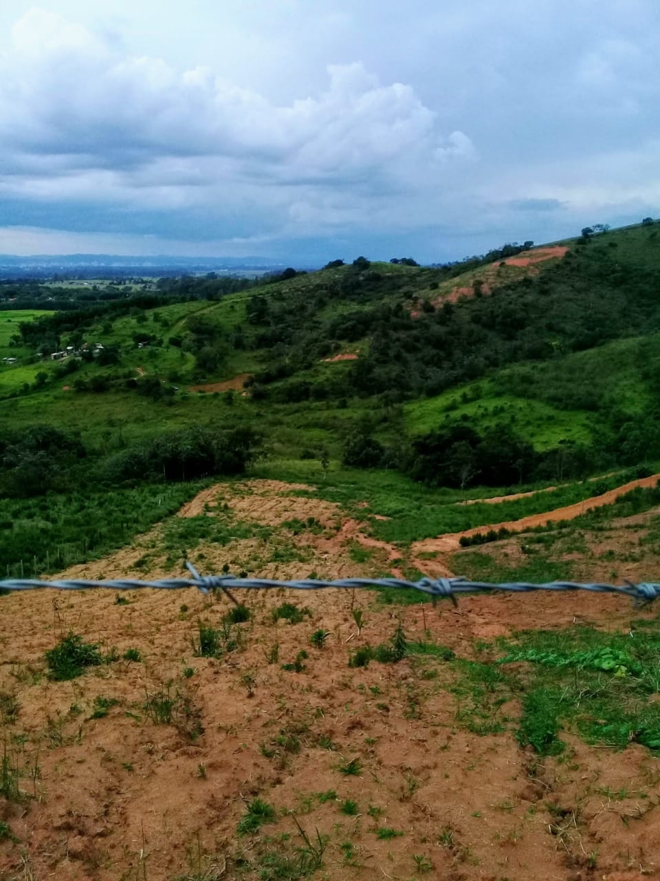 Terreno, 2 hectares - Foto 11