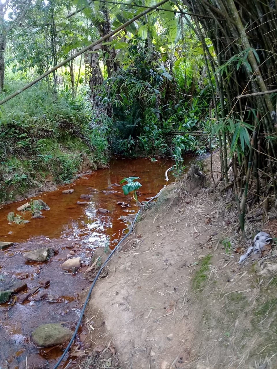 Terreno, 2 hectares - Foto 12