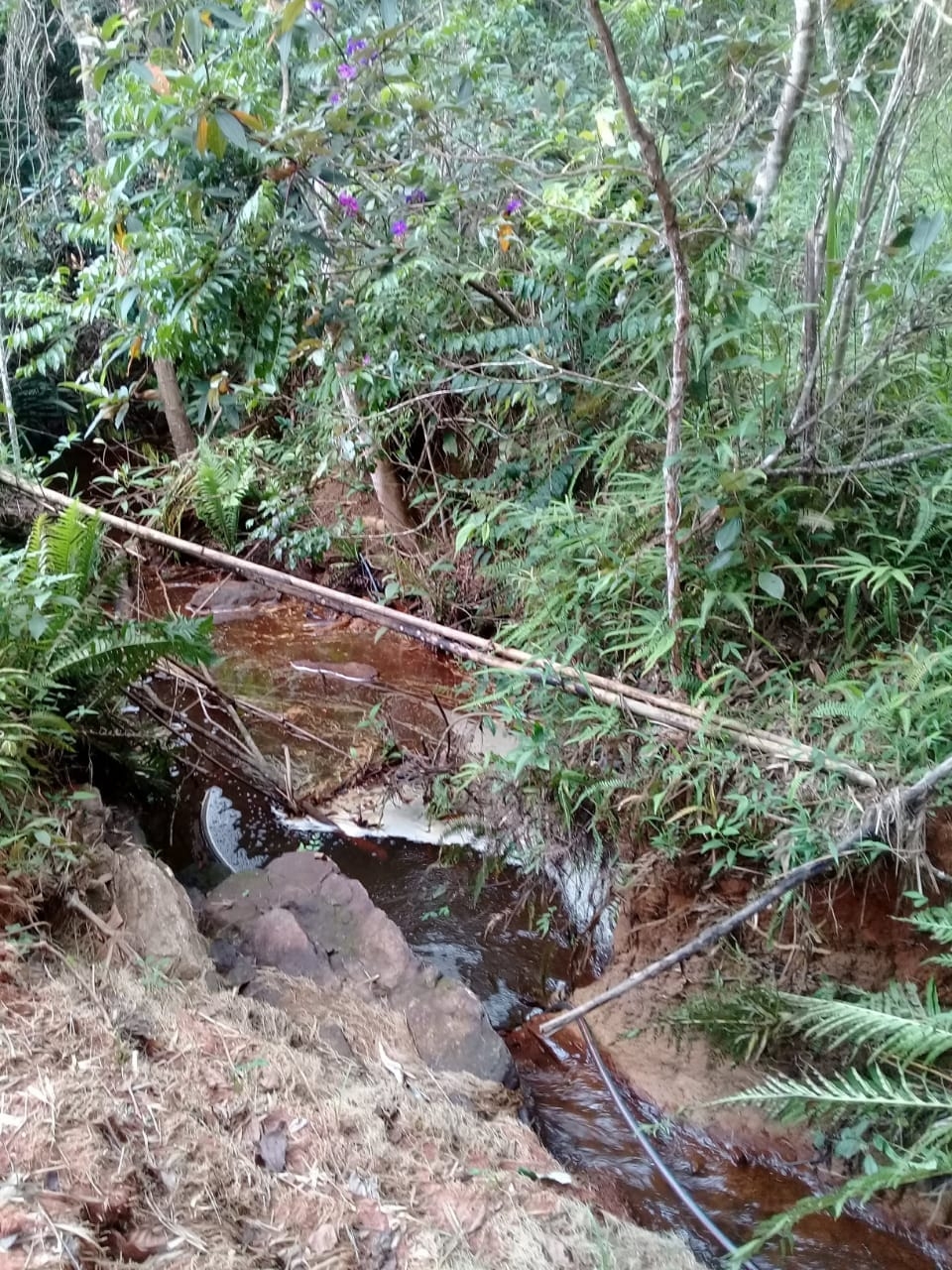 Terreno, 2 hectares - Foto 13