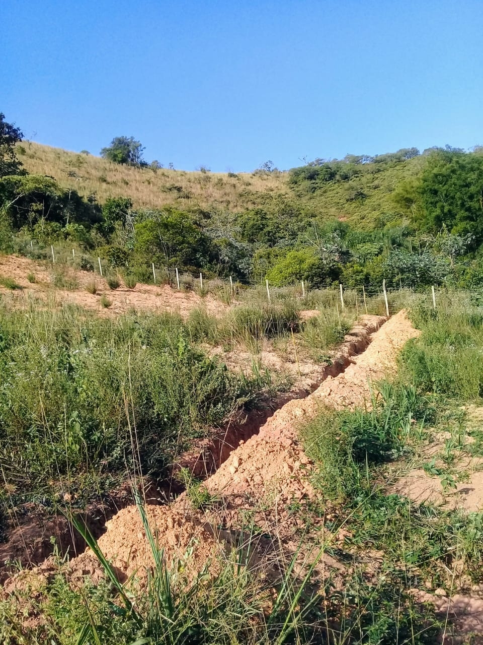 Terreno, 2 hectares - Foto 14