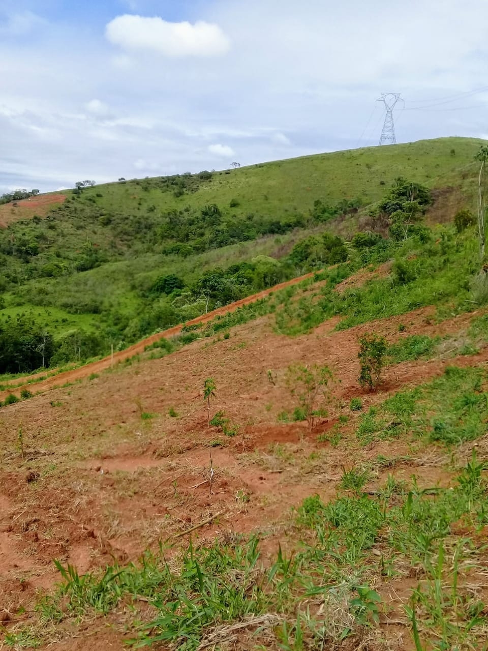 Terreno, 2 hectares - Foto 16