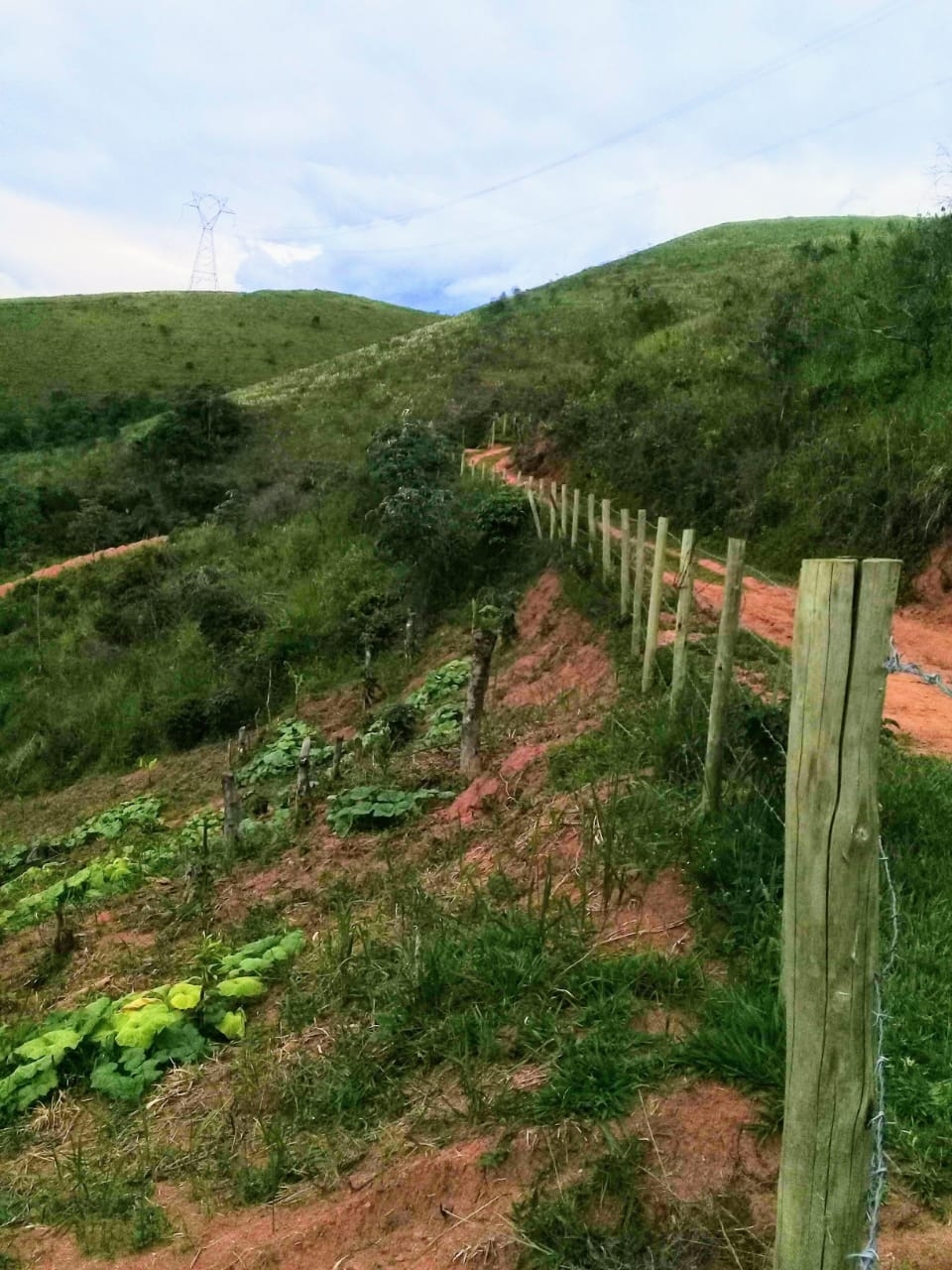 Terreno, 2 hectares - Foto 17