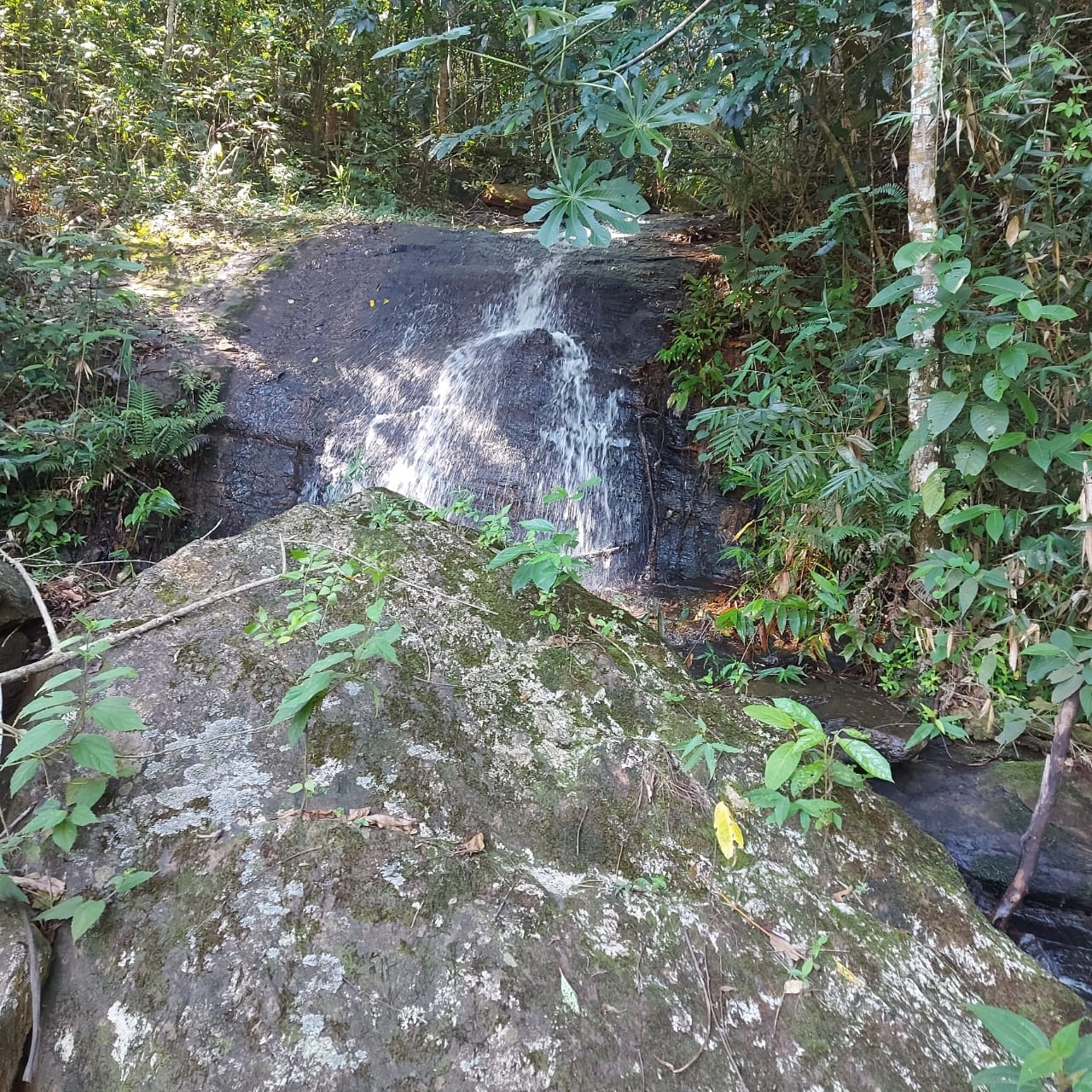 Terreno, 2 hectares - Foto 20