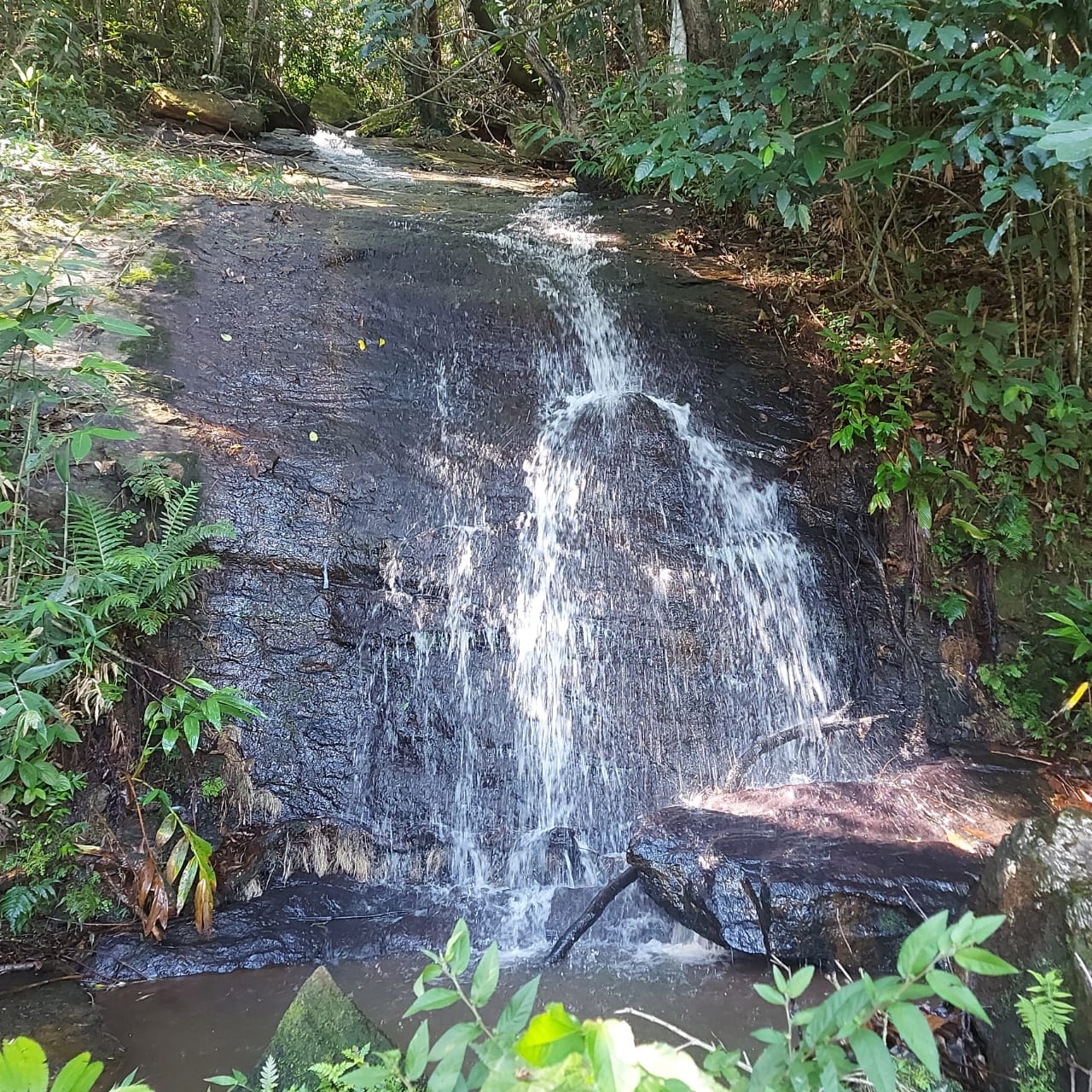 Terreno, 2 hectares - Foto 21