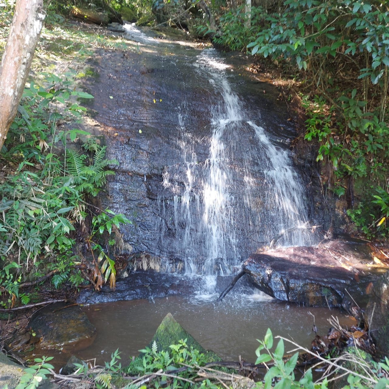 Terreno, 2 hectares - Foto 22