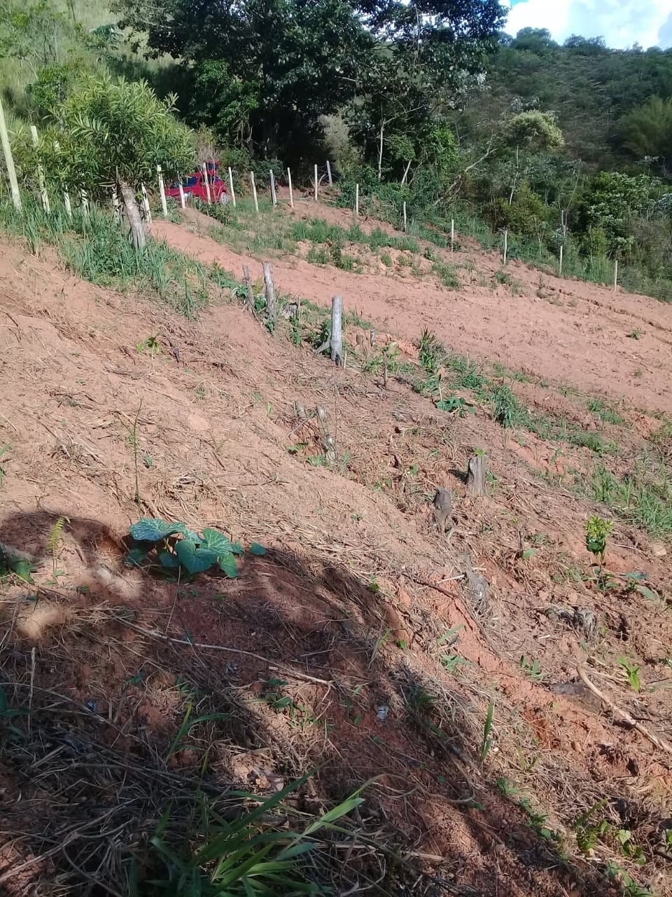 Terreno, 2 hectares - Foto 24