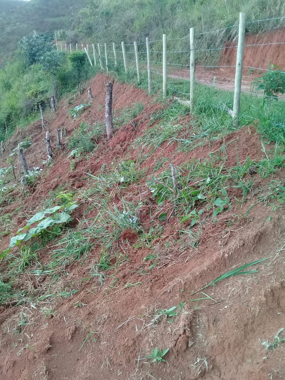 Terreno, 2 hectares - Foto 25