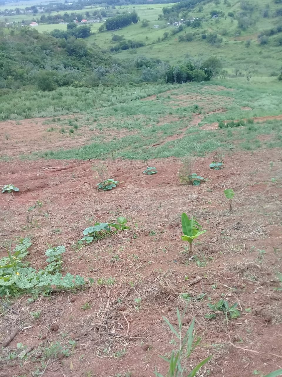 Terreno, 2 hectares - Foto 26