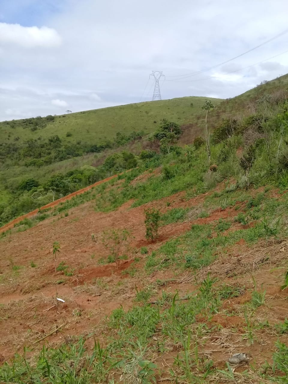 Terreno, 2 hectares - Foto 27