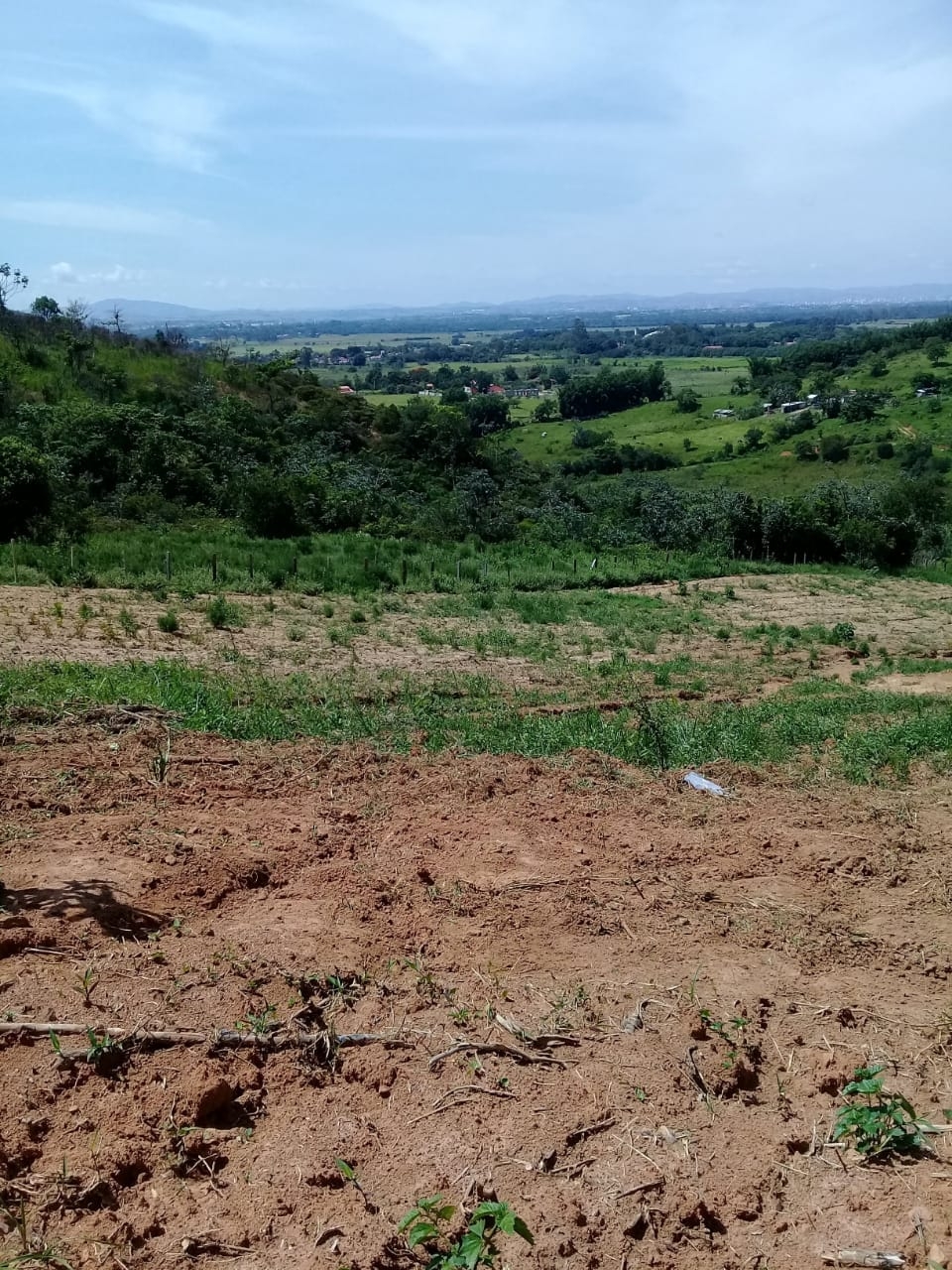 Terreno, 2 hectares - Foto 29