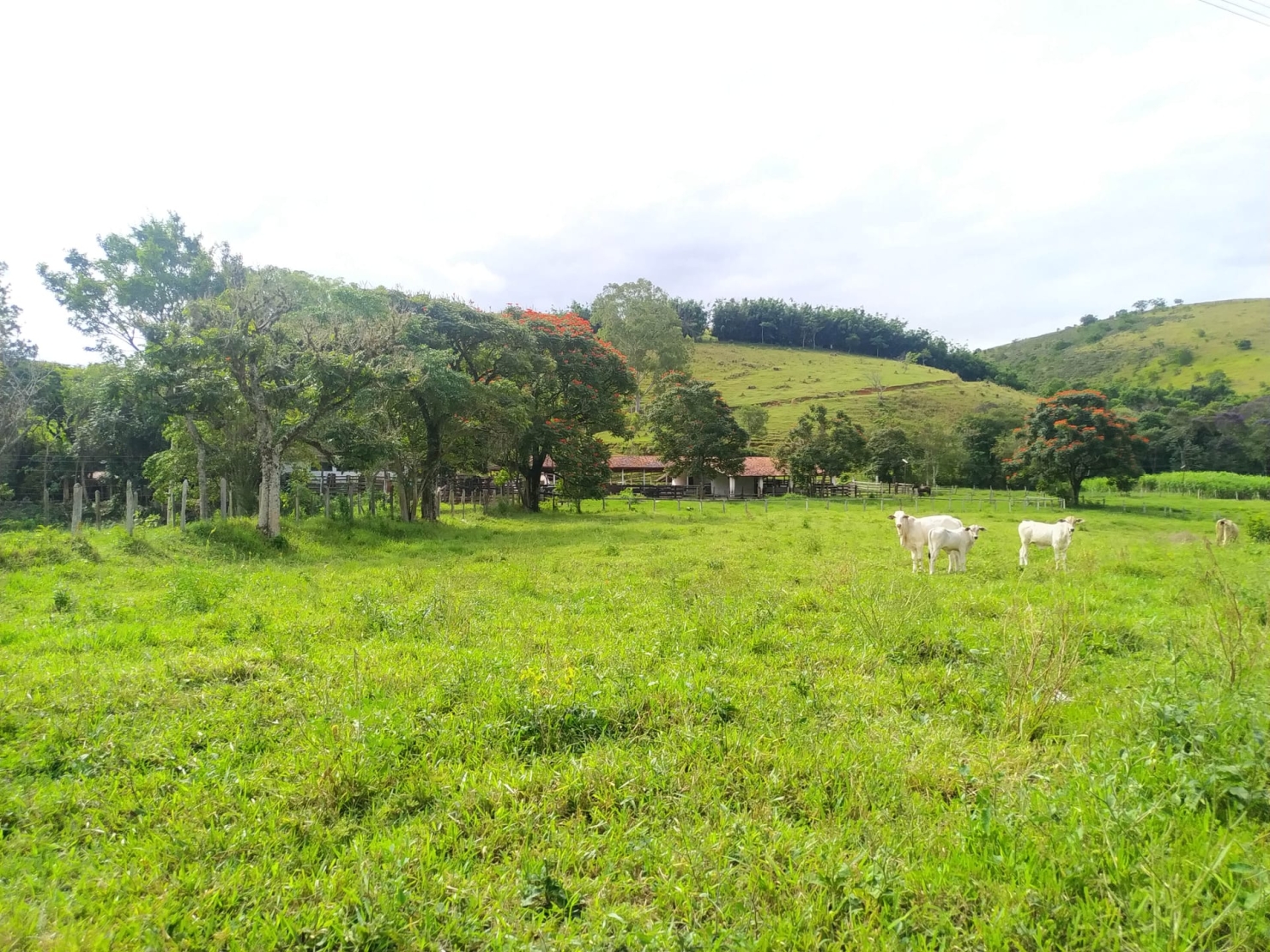 Terreno à venda, 170000m² - Foto 3