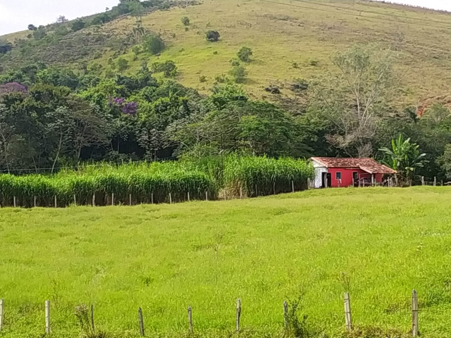 Terreno à venda, 170000m² - Foto 6