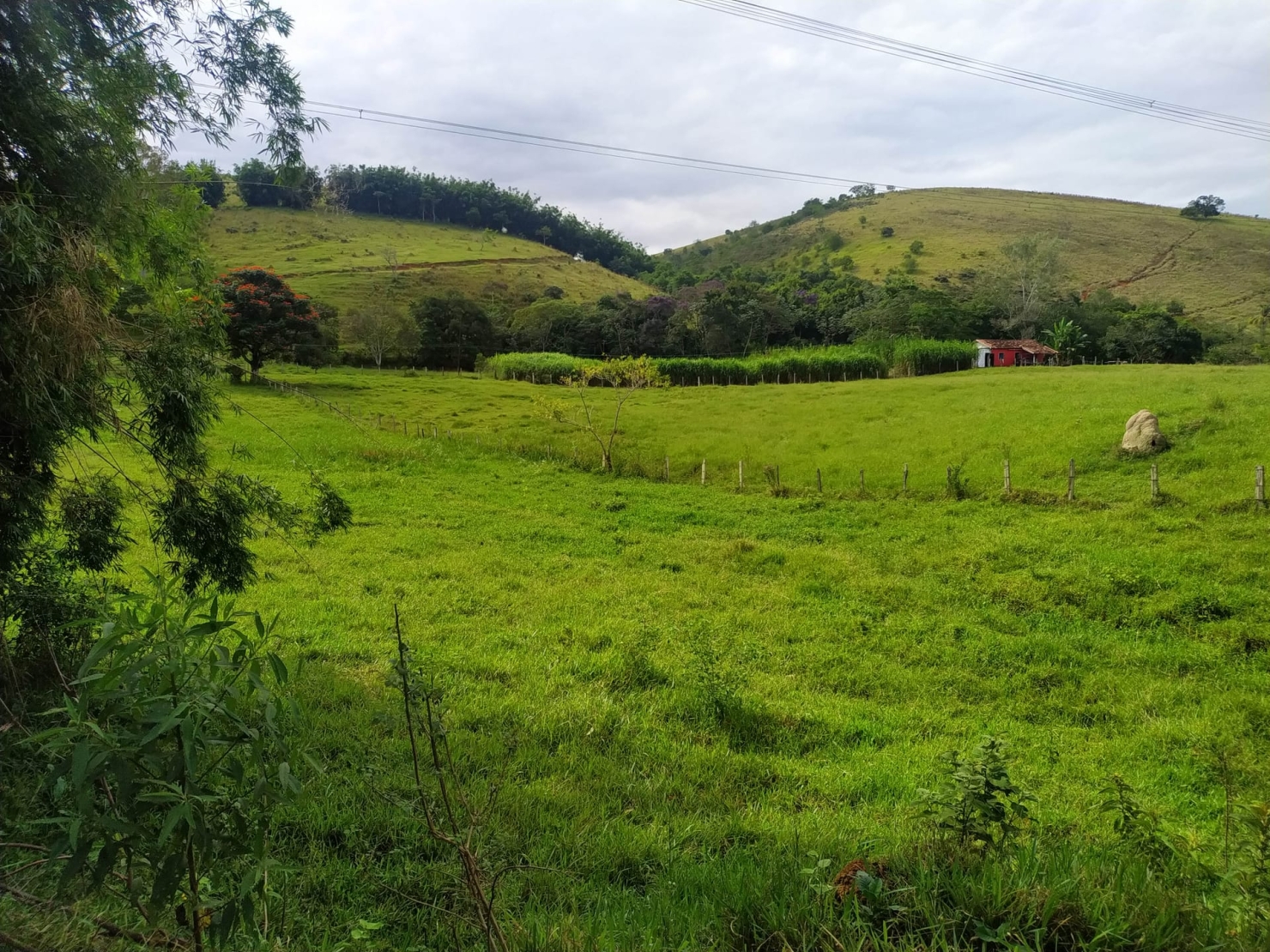 Terreno à venda, 170000m² - Foto 7