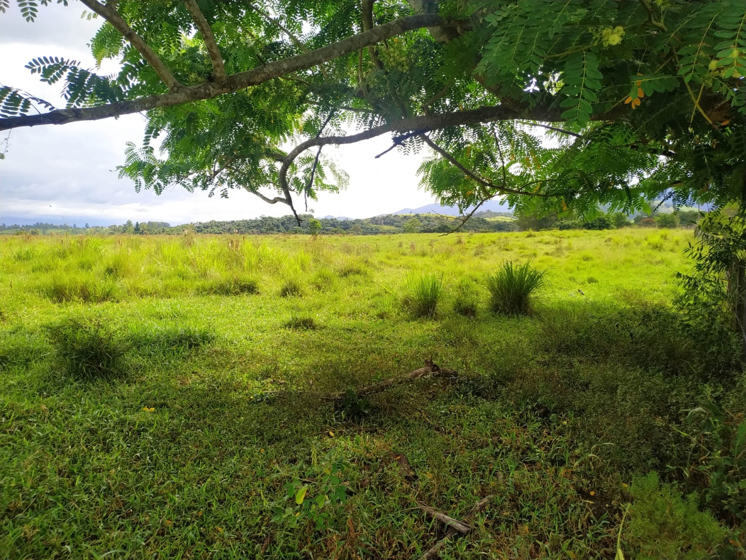 Terreno à venda, 170000m² - Foto 8