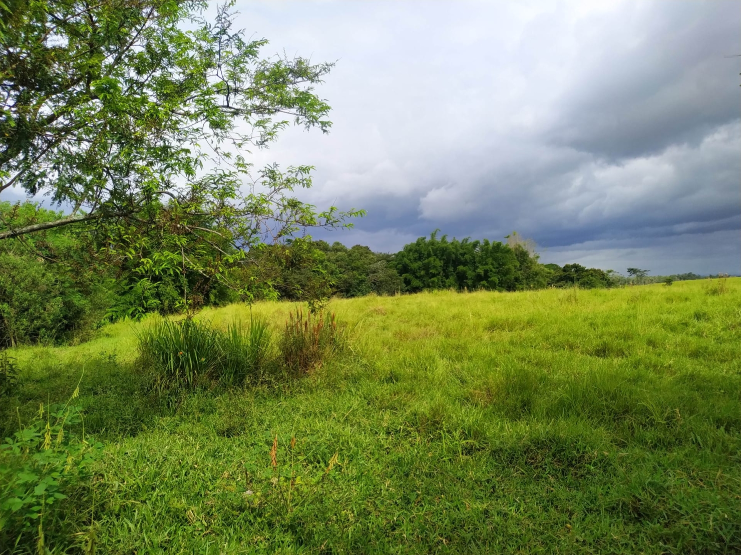 Terreno à venda, 170000m² - Foto 9