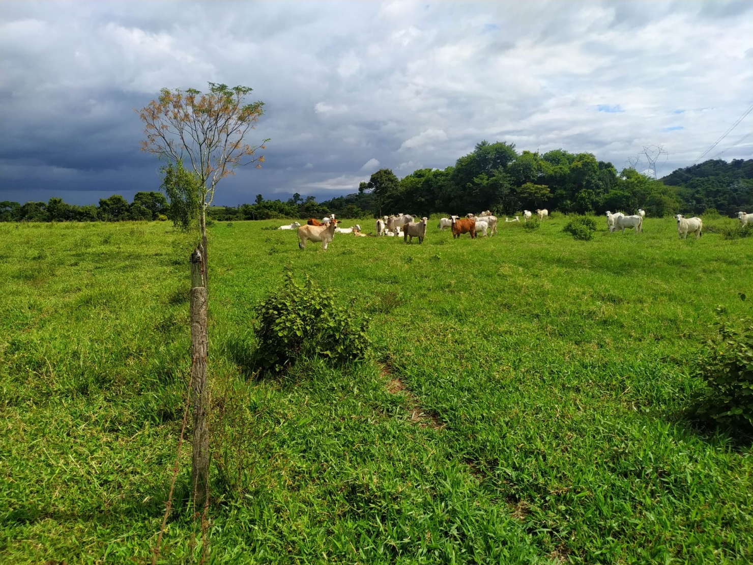 Terreno à venda, 170000m² - Foto 11