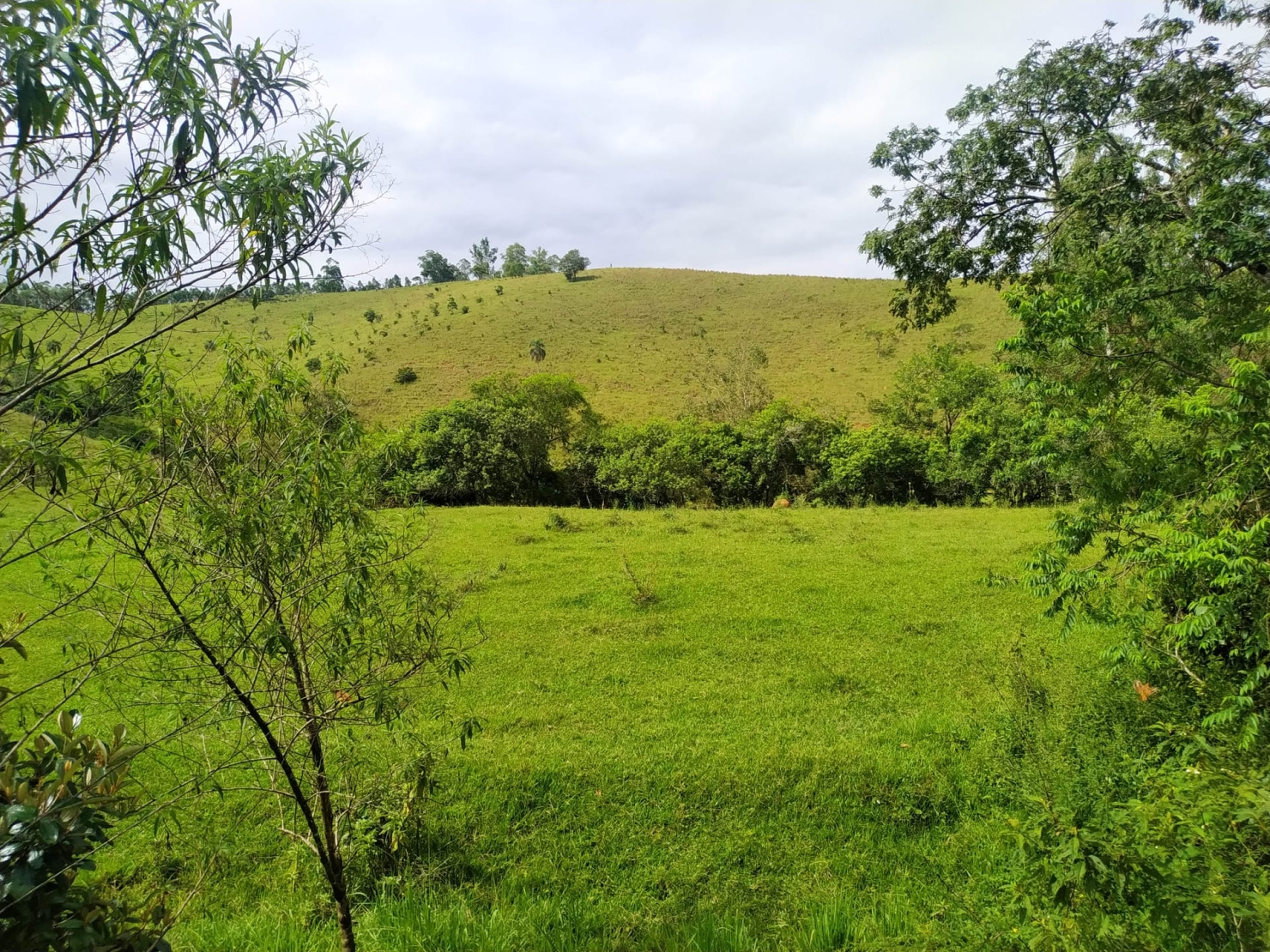 Terreno à venda, 170000m² - Foto 12