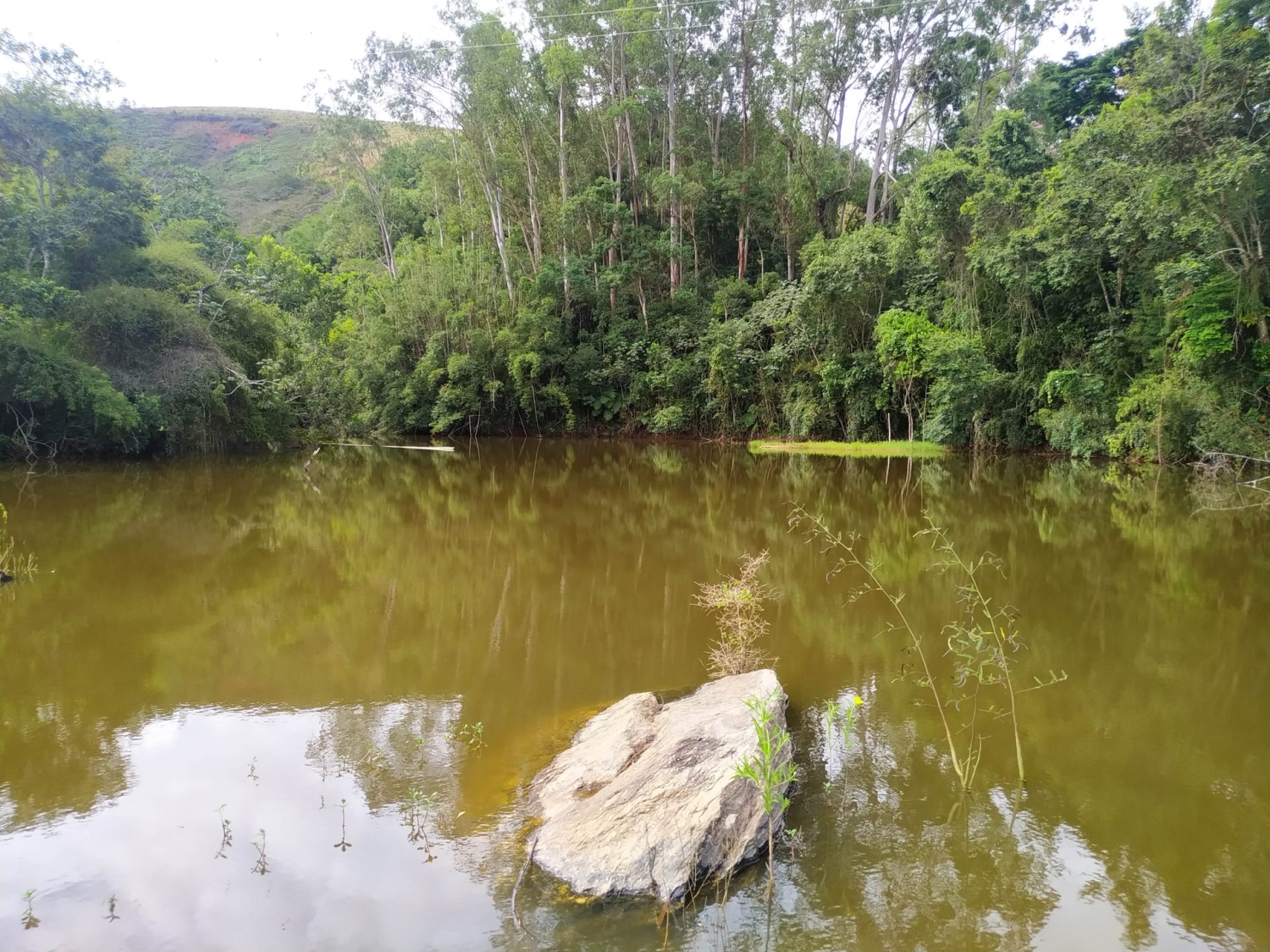 Terreno à venda, 170000m² - Foto 16