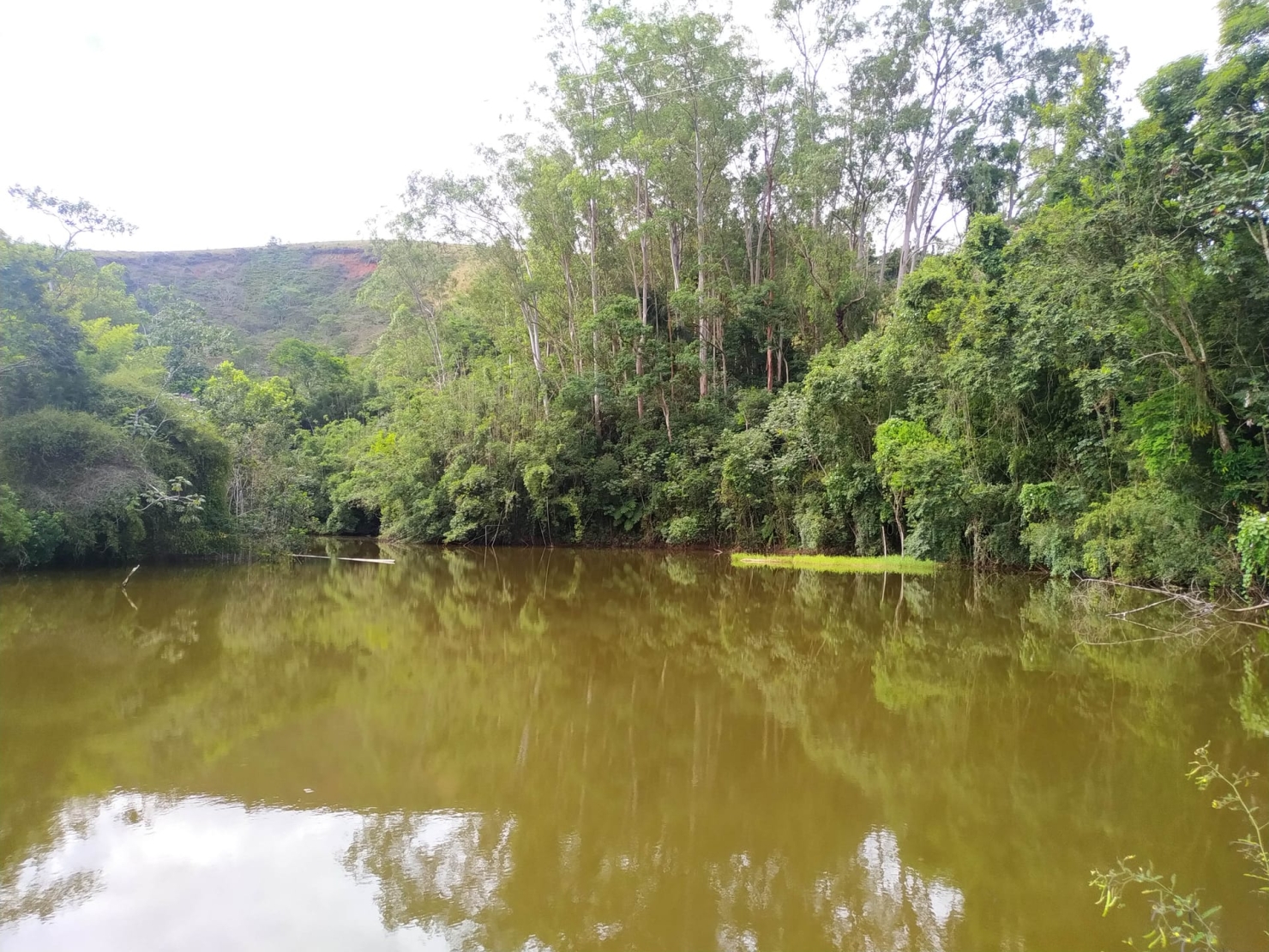 Terreno à venda, 170000m² - Foto 17