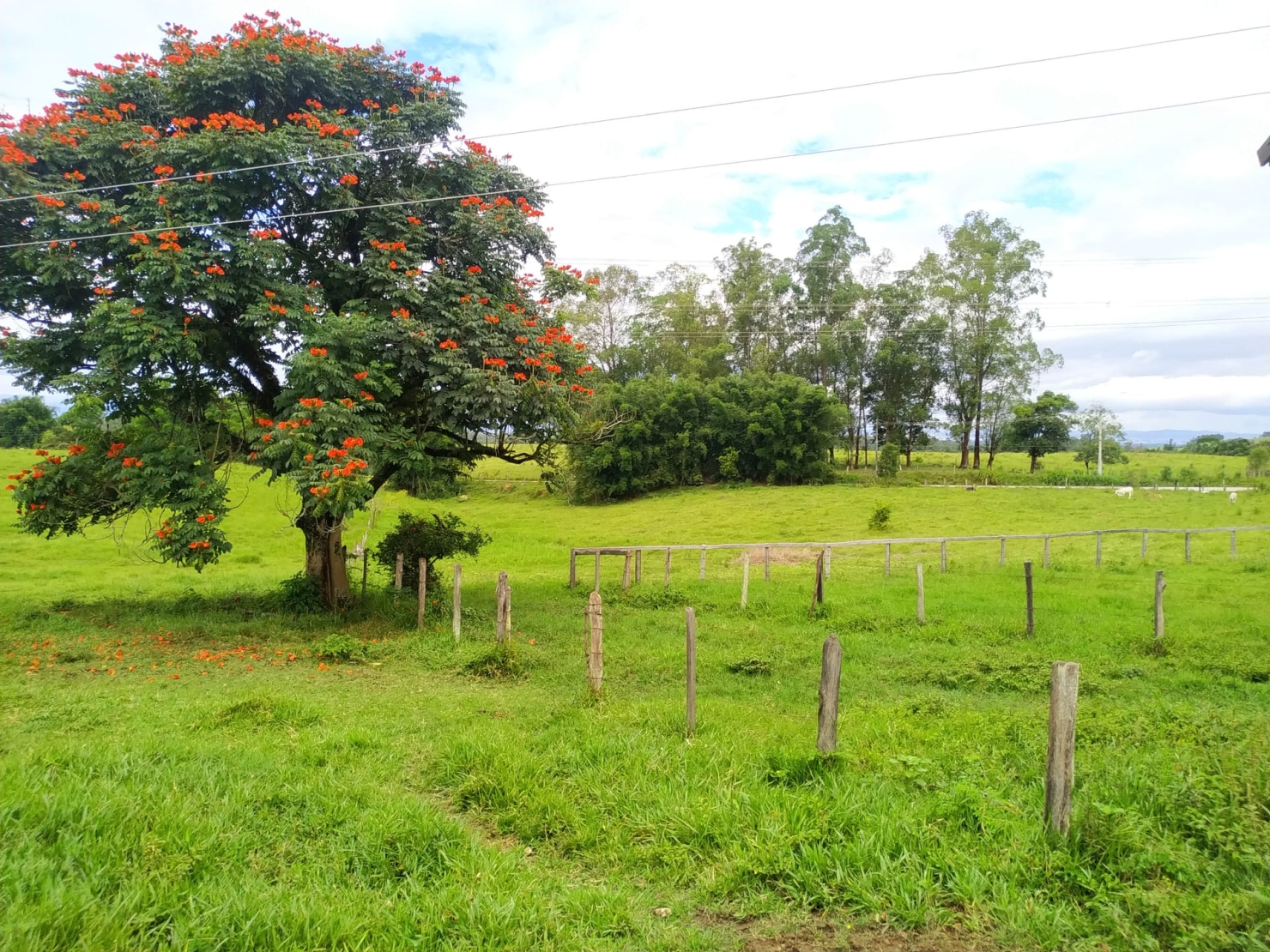 Terreno à venda, 170000m² - Foto 23