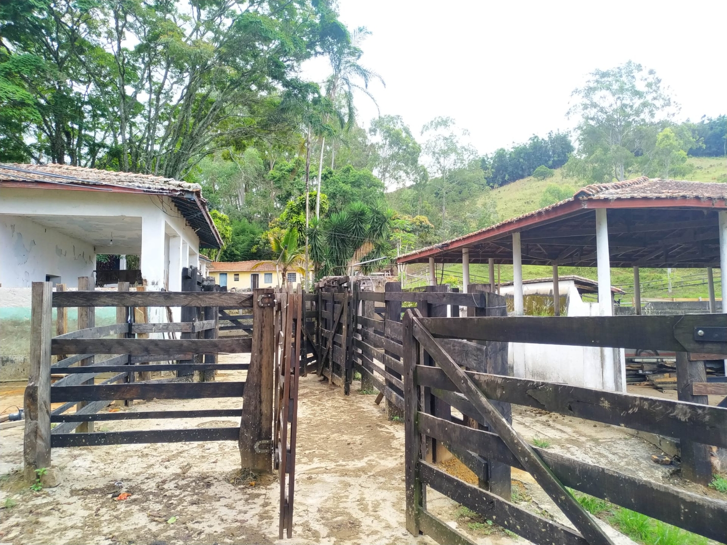 Terreno à venda, 170000m² - Foto 28