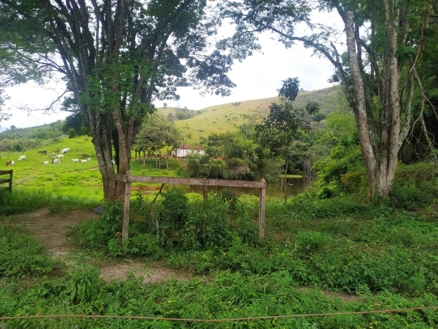 Terreno à venda, 170000m² - Foto 30