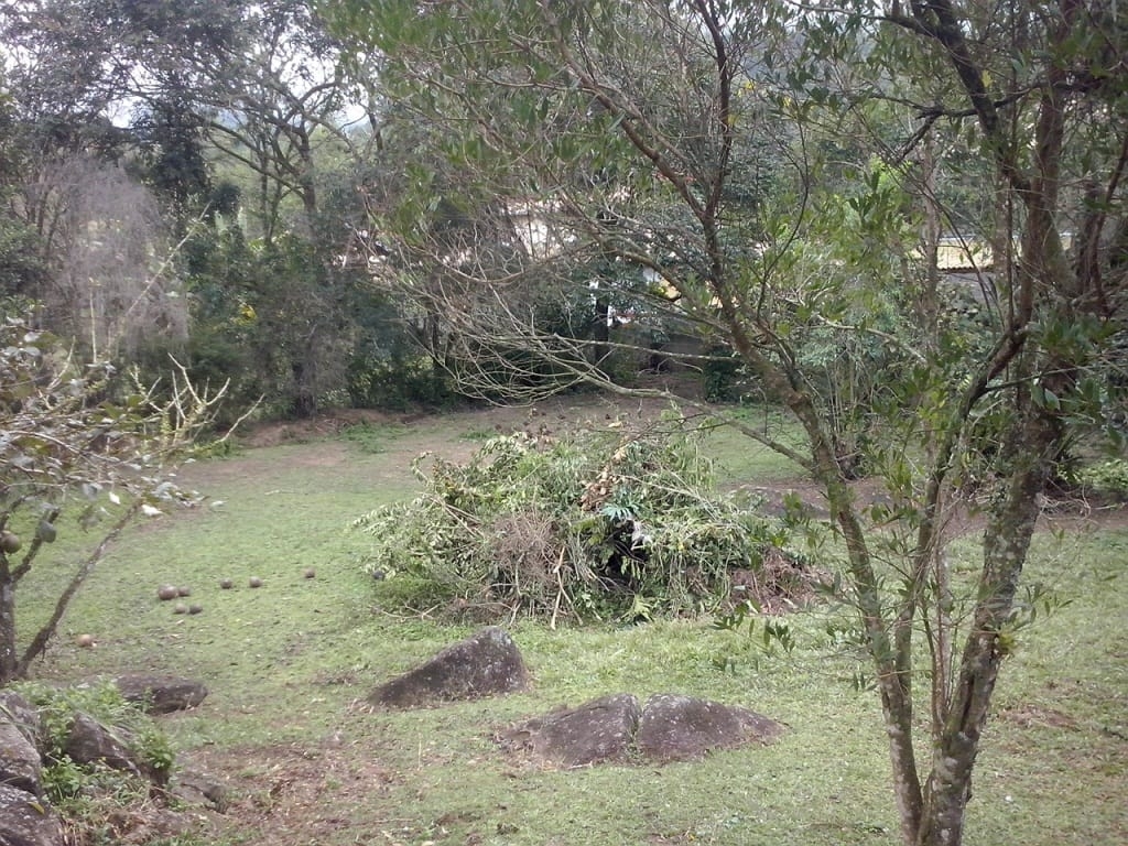 Chácara, 4 quartos - Foto 1