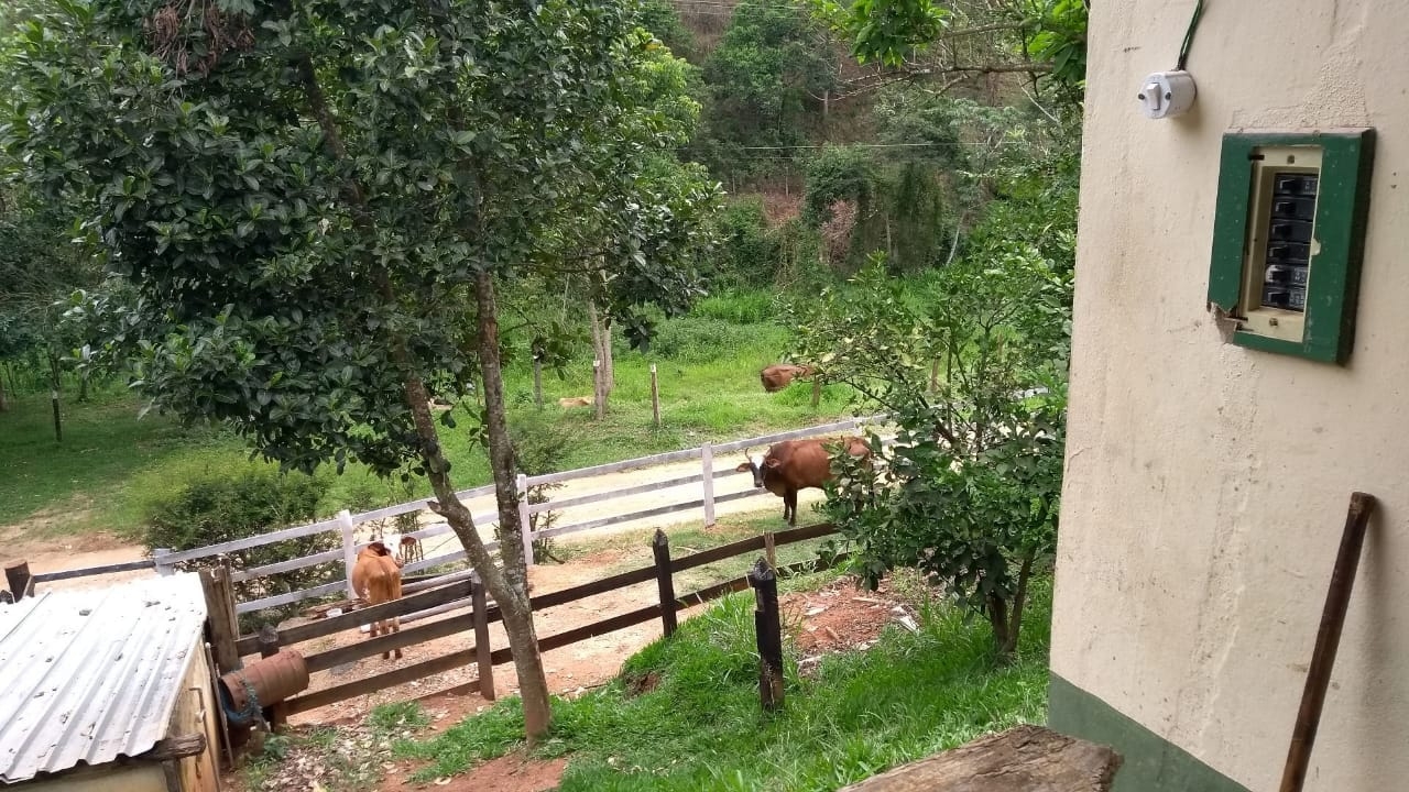 Chácara, 3 quartos, 2 hectares - Foto 7